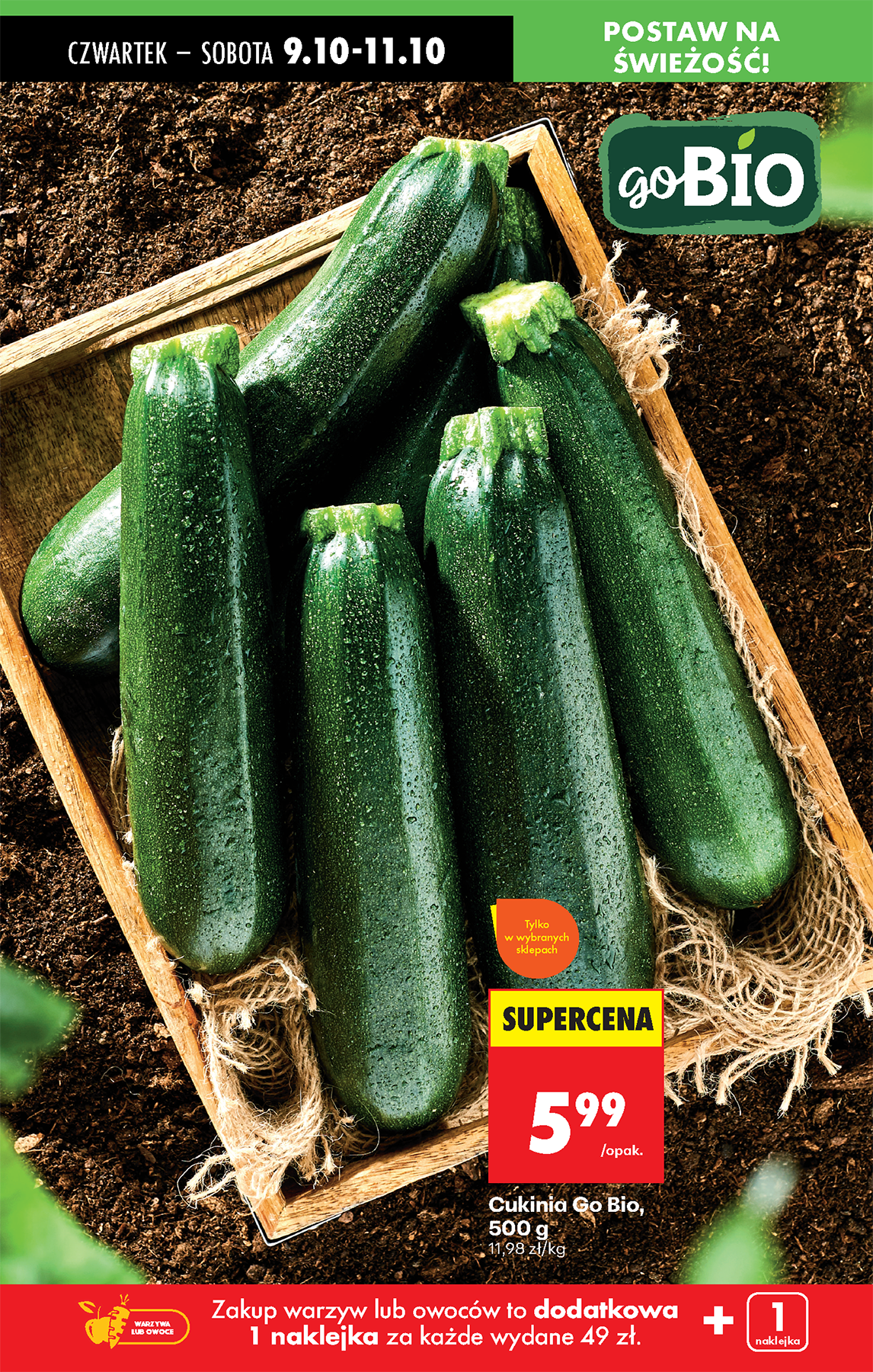 undefined 24