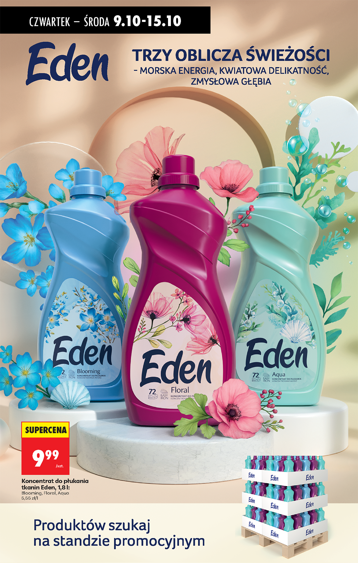 undefined 81