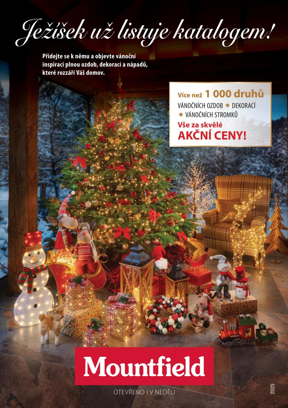 Aktuální leták Mountfield - Vánoce od 01.01. do 31.01.