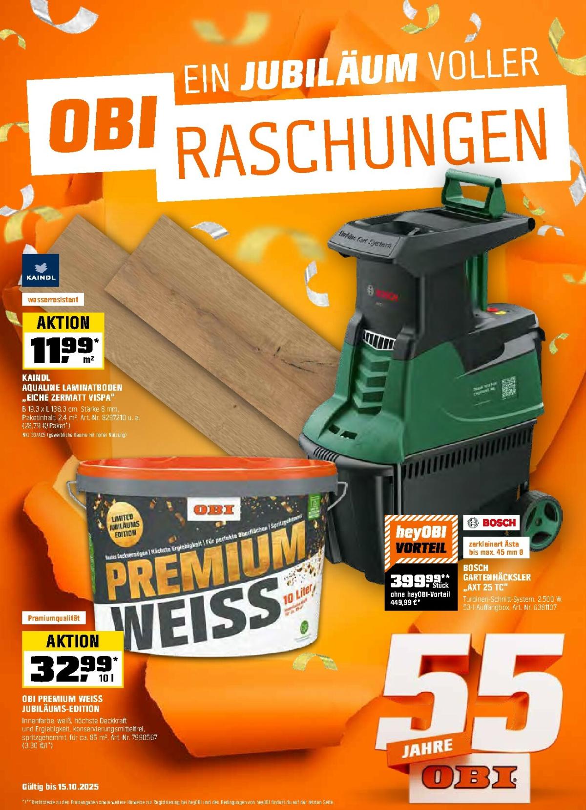 Obi-Prospekt gültig vom 01.10. bis 15.10.