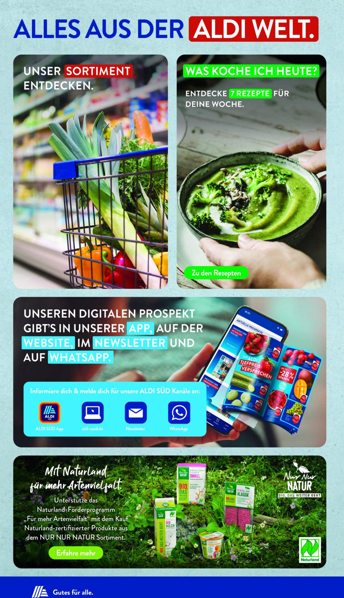 undefined 31