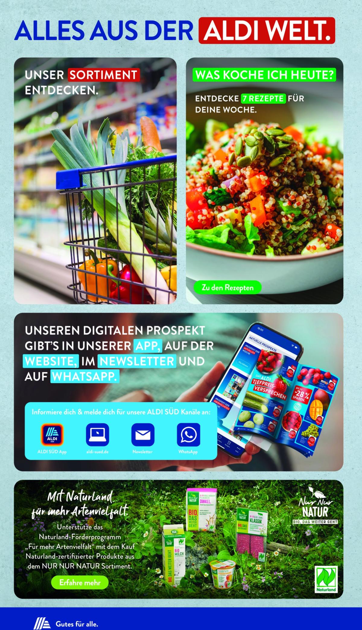 undefined 32