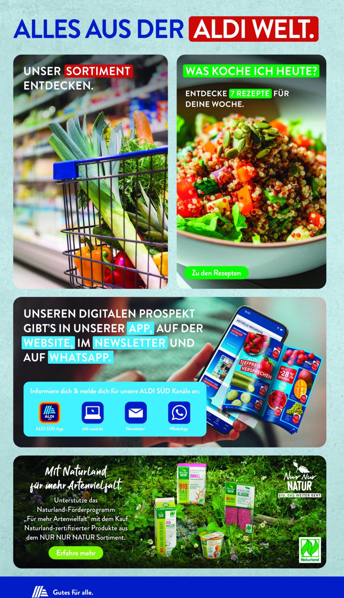 undefined 31