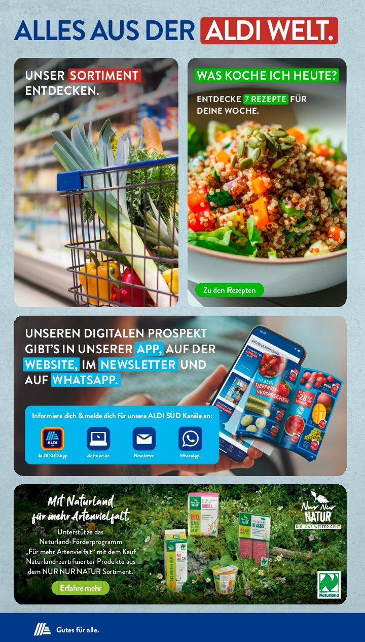 undefined 33