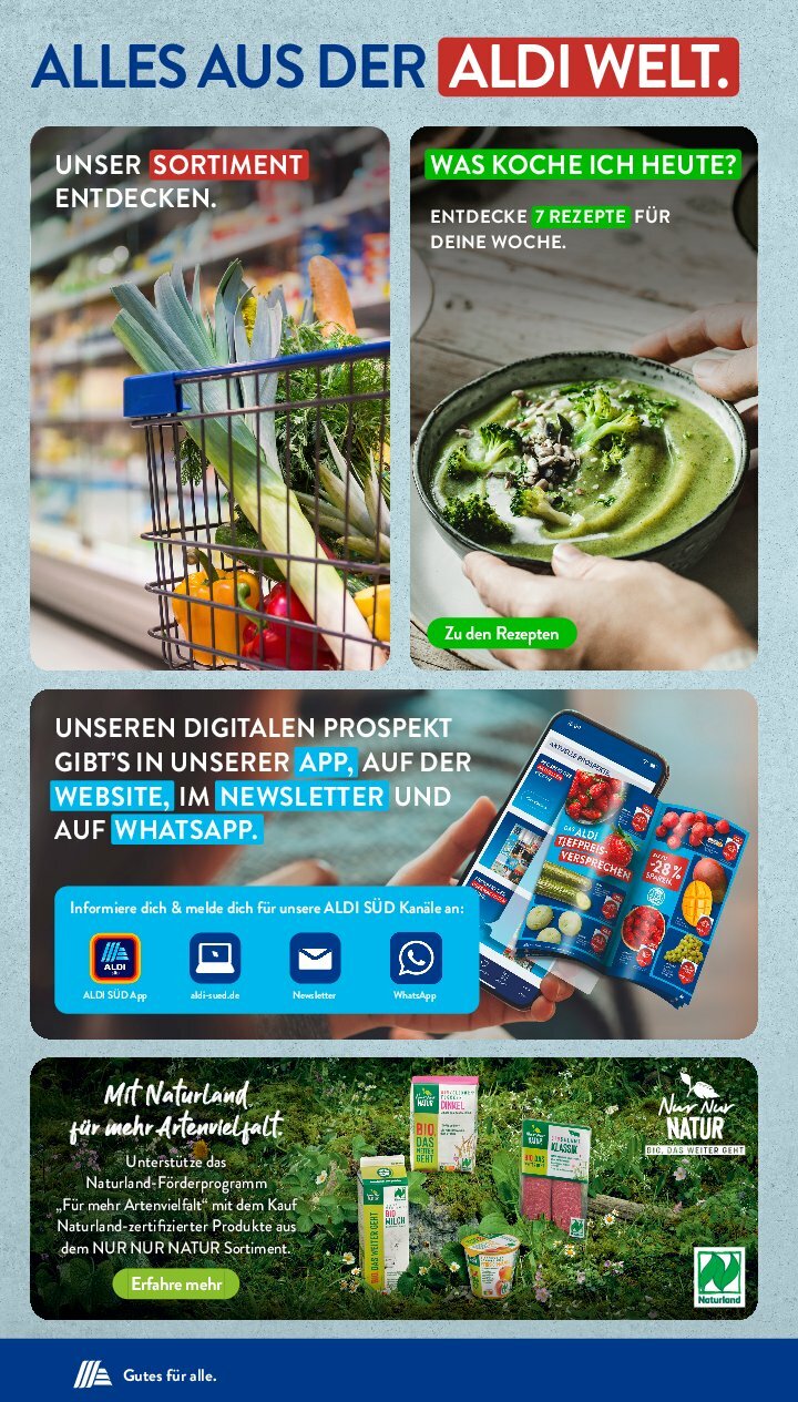 undefined 33