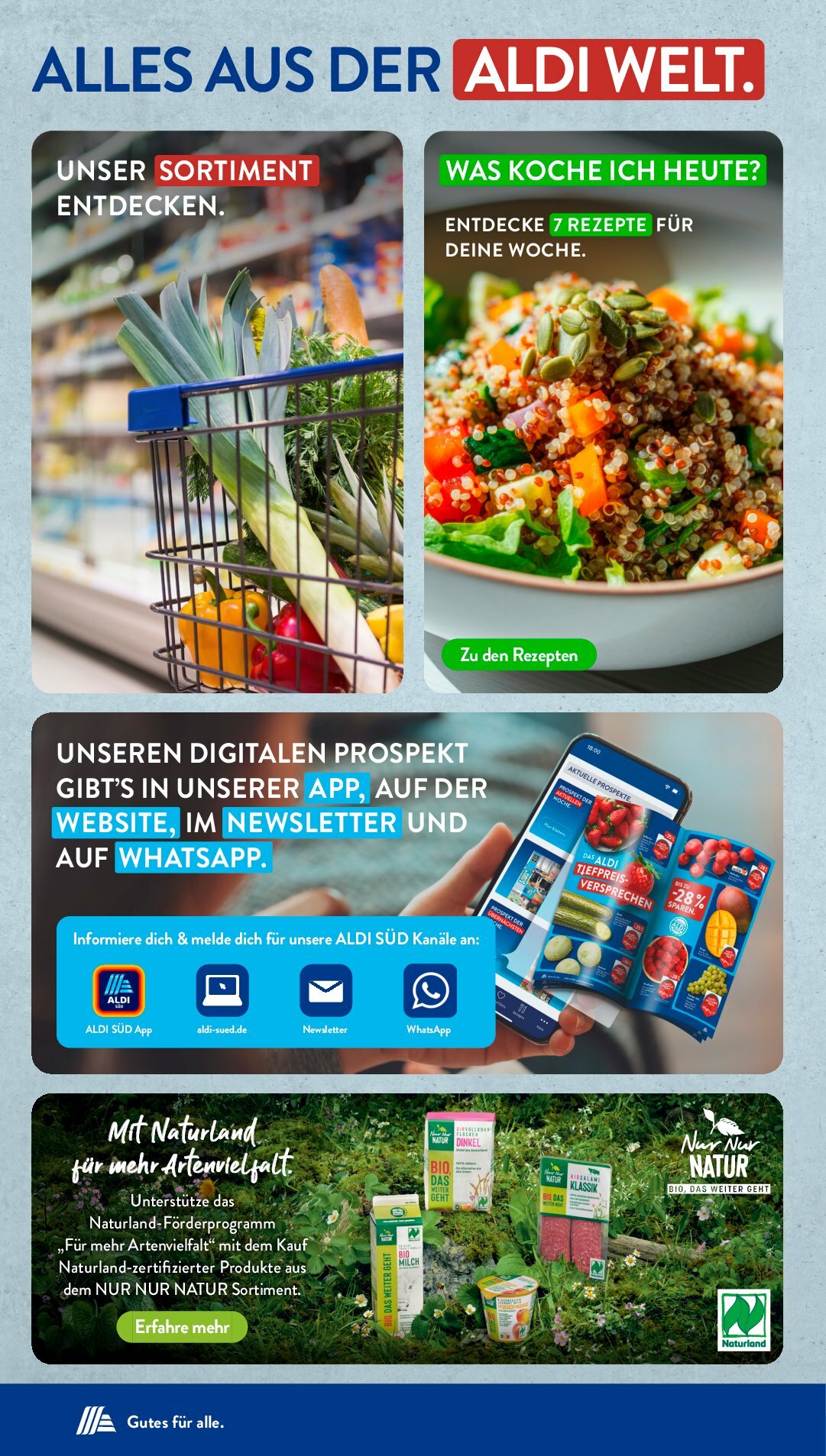 undefined 33