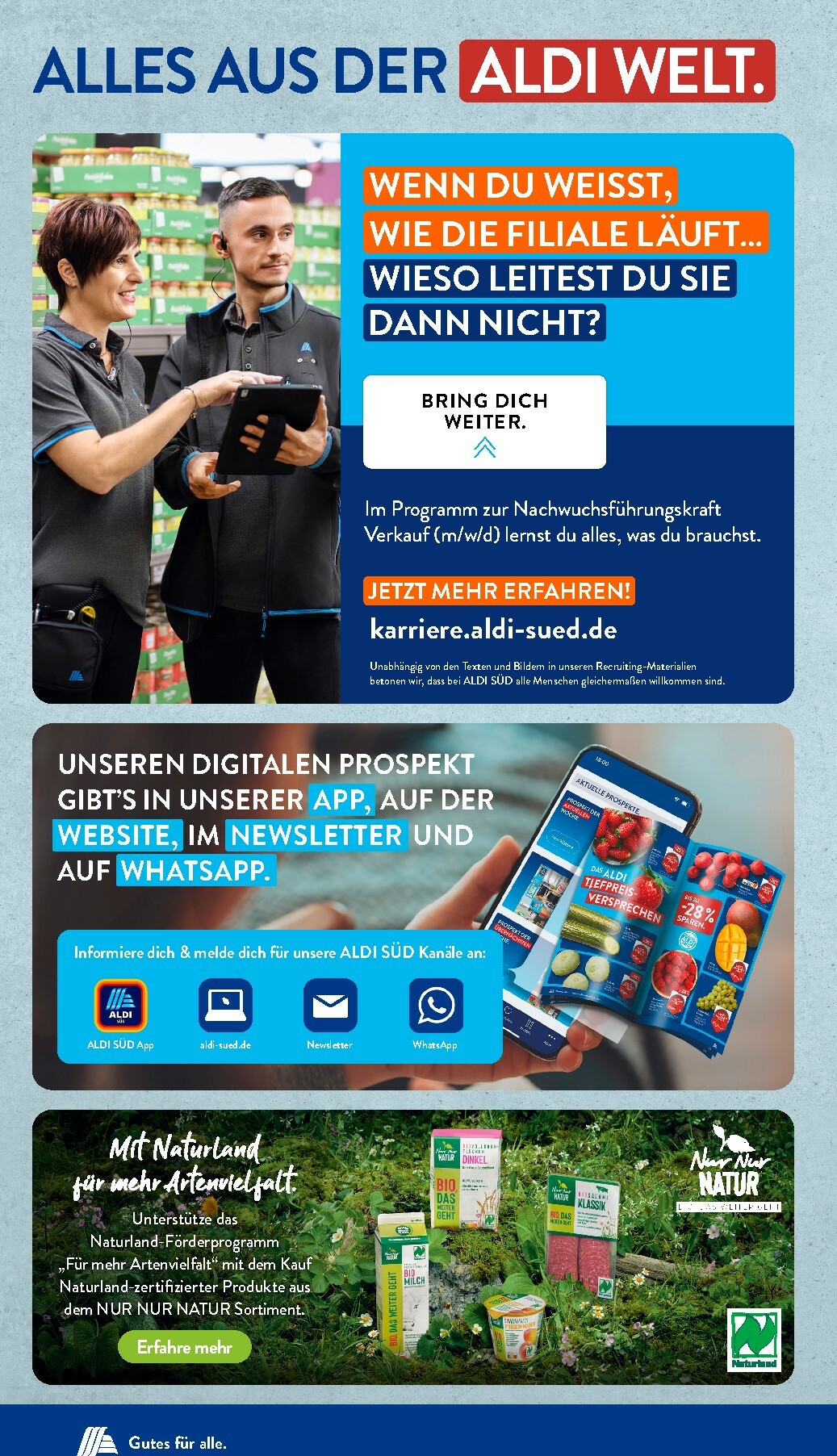 undefined 31