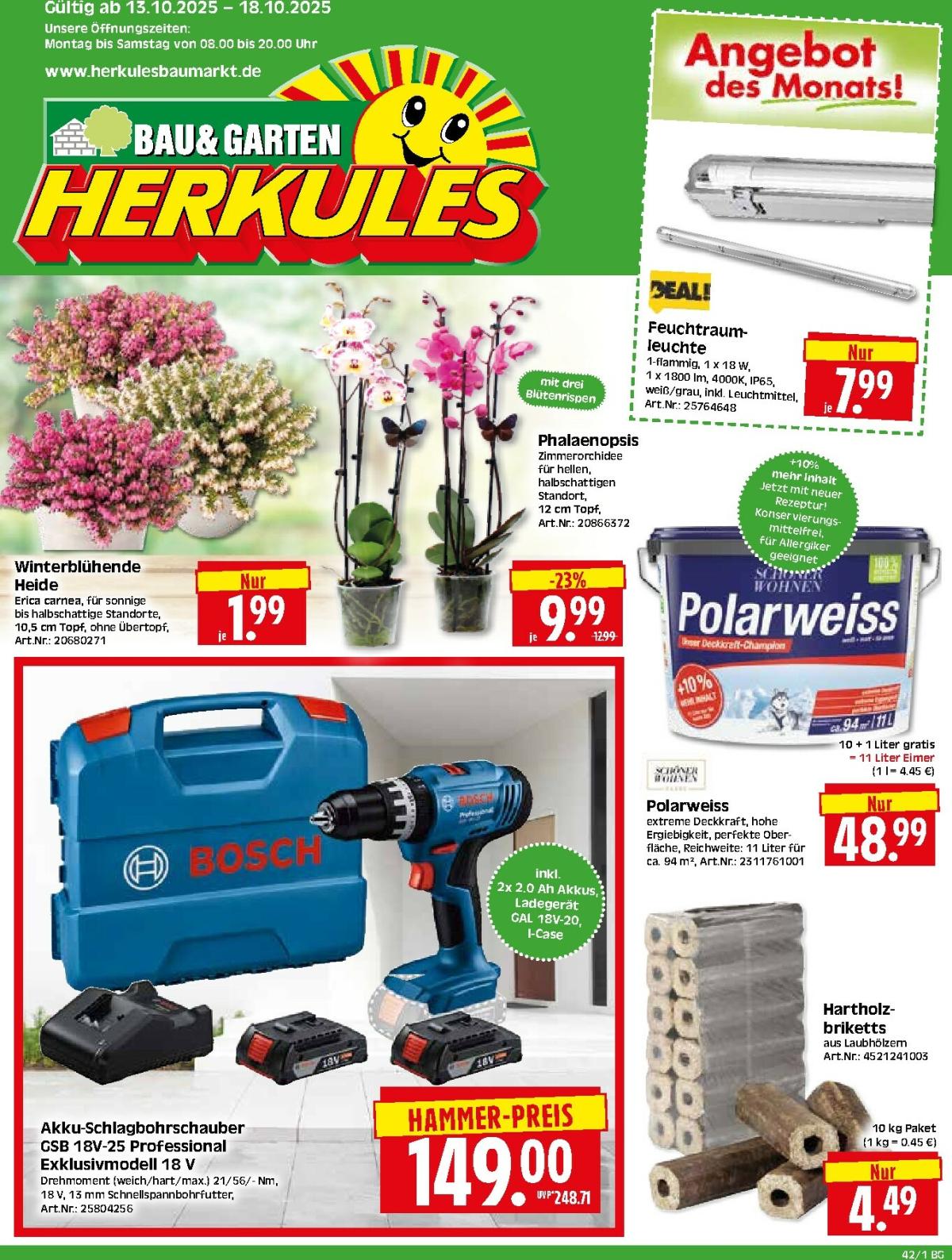 Herkules - Bau & Garten-Prospekt gültig vom 13.10. bis 19.10.