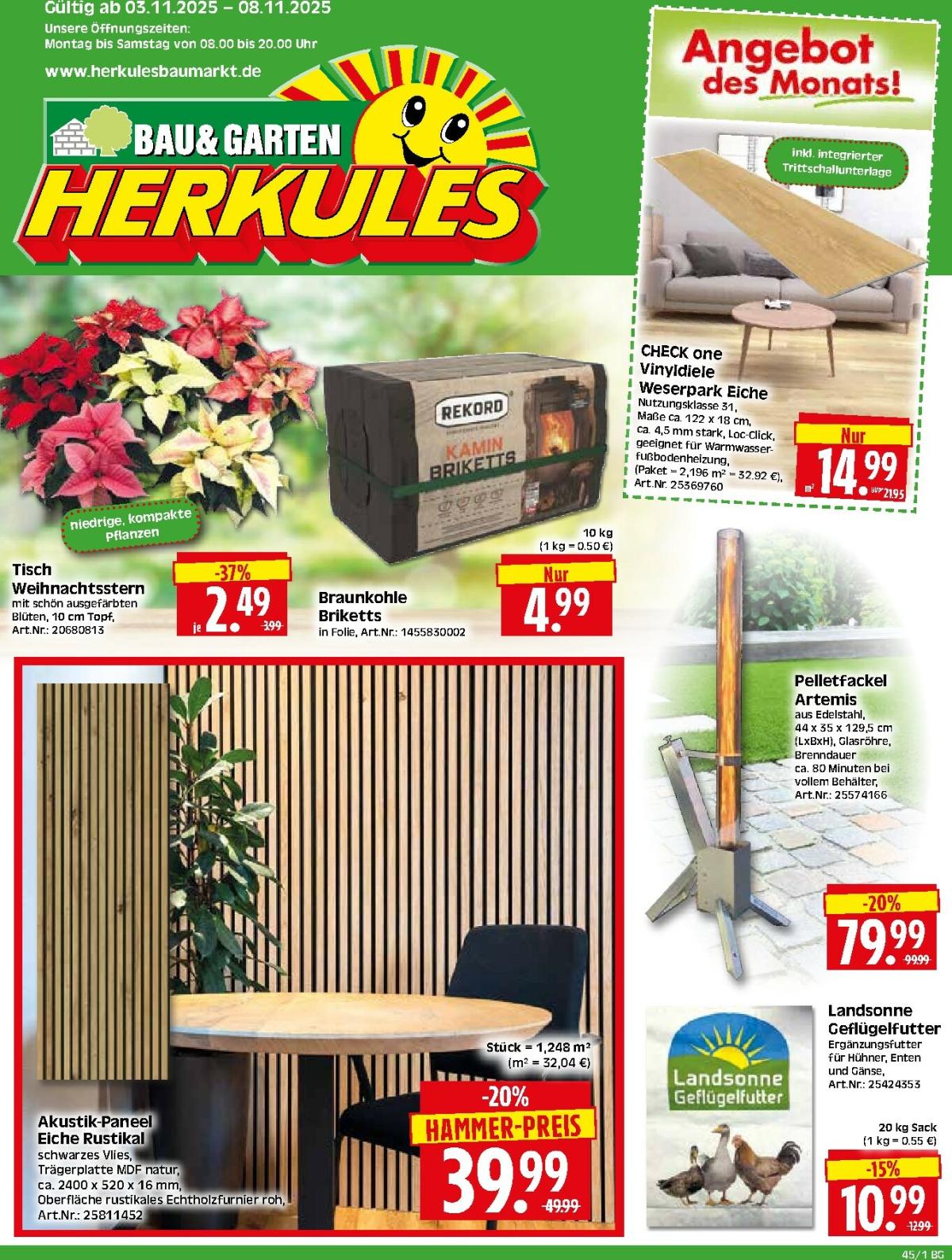 Herkules - Bau & Garten-Prospekt gültig vom 03.11. bis 08.11.