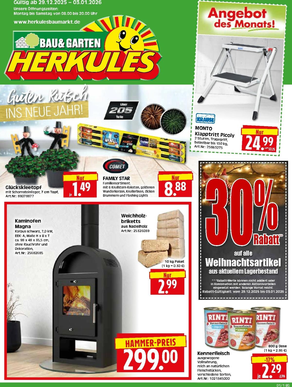 Herkules - Bau & Garten-Prospekt gültig vom 29.12. bis 03.01.