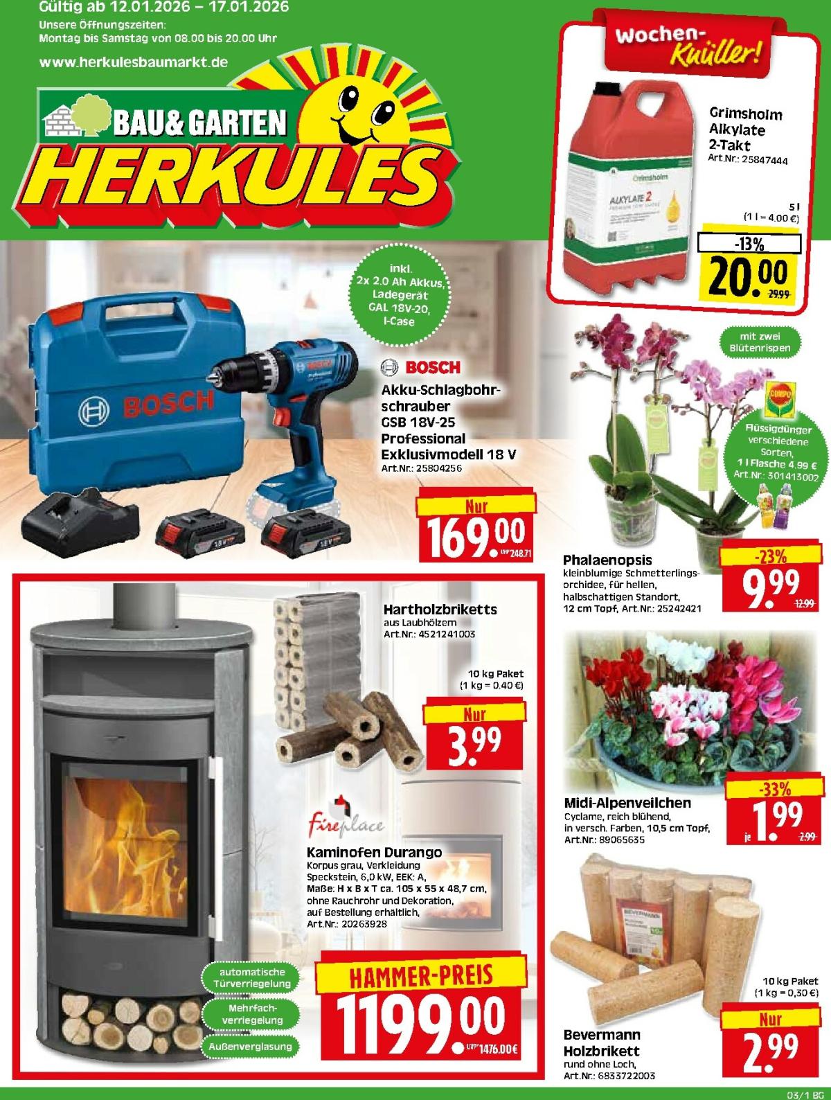Herkules - Bau & Garten-Prospekt gültig vom 12.01. bis 17.01.