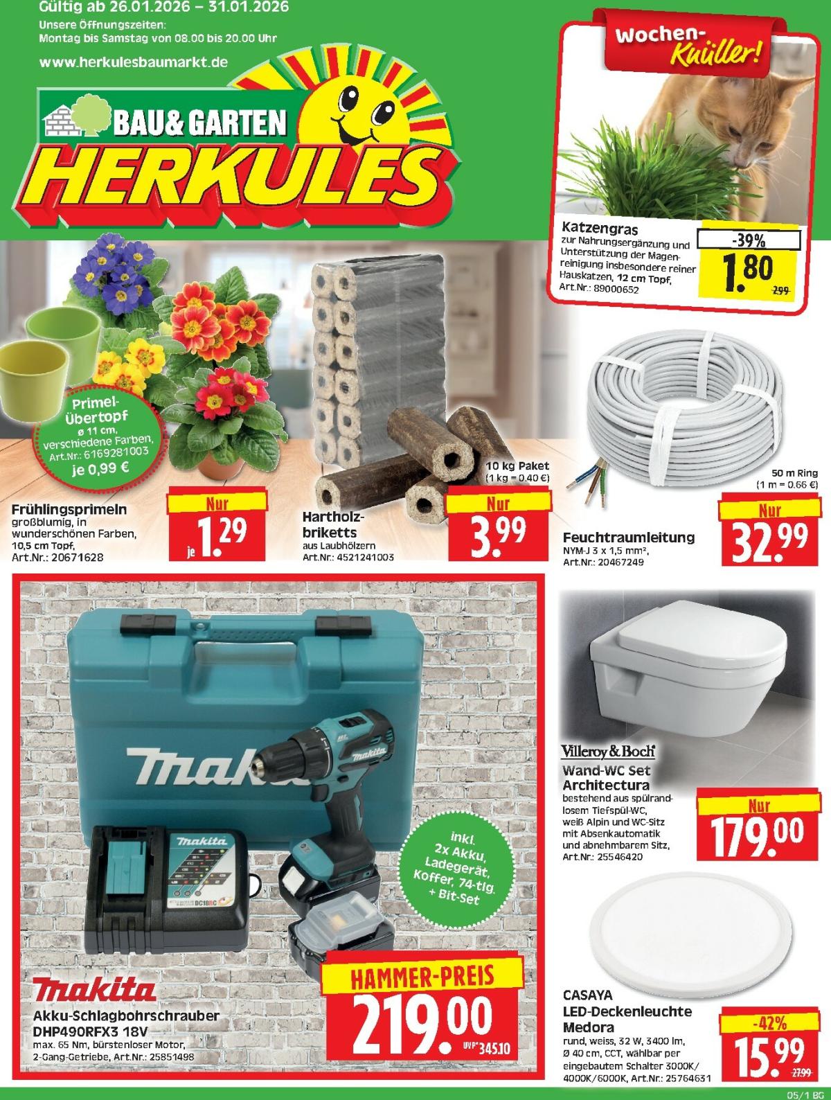 Herkules - Bau & Garten-Prospekt gültig vom 26.01. bis 31.01.