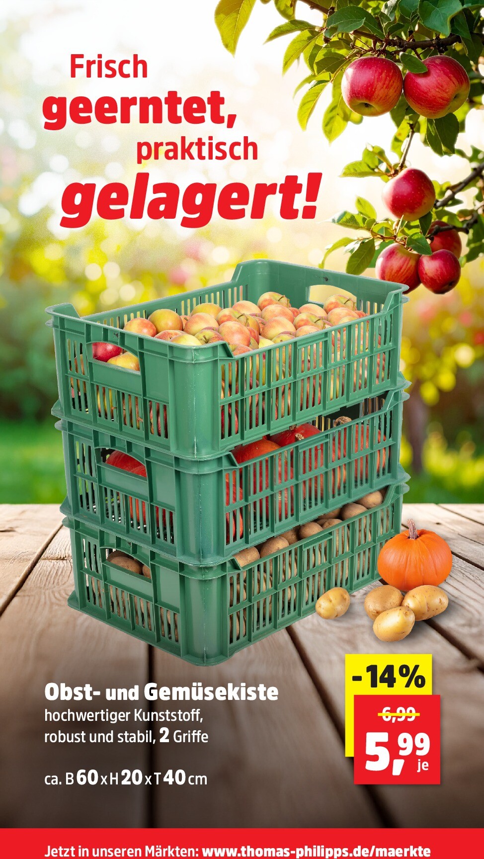 undefined 16
