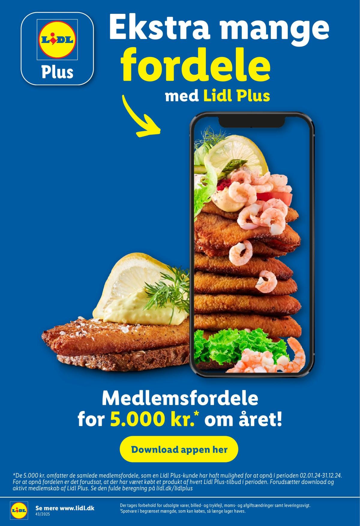 undefined 29