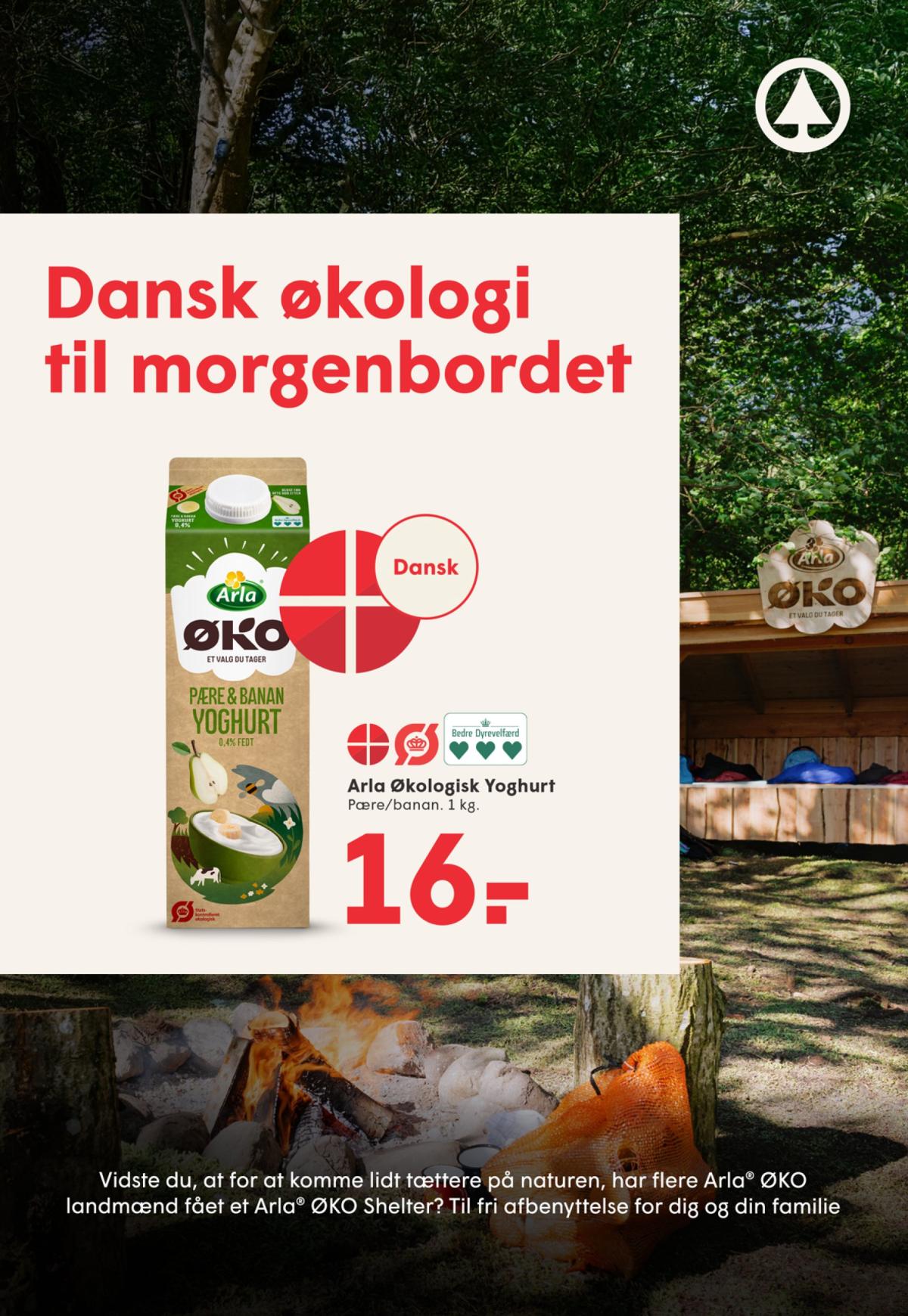 undefined 21