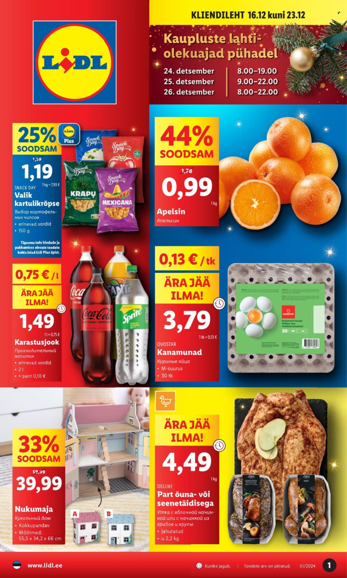 Lidl kliendileht - Kliendilehed (16.12 - 23.12.2024)