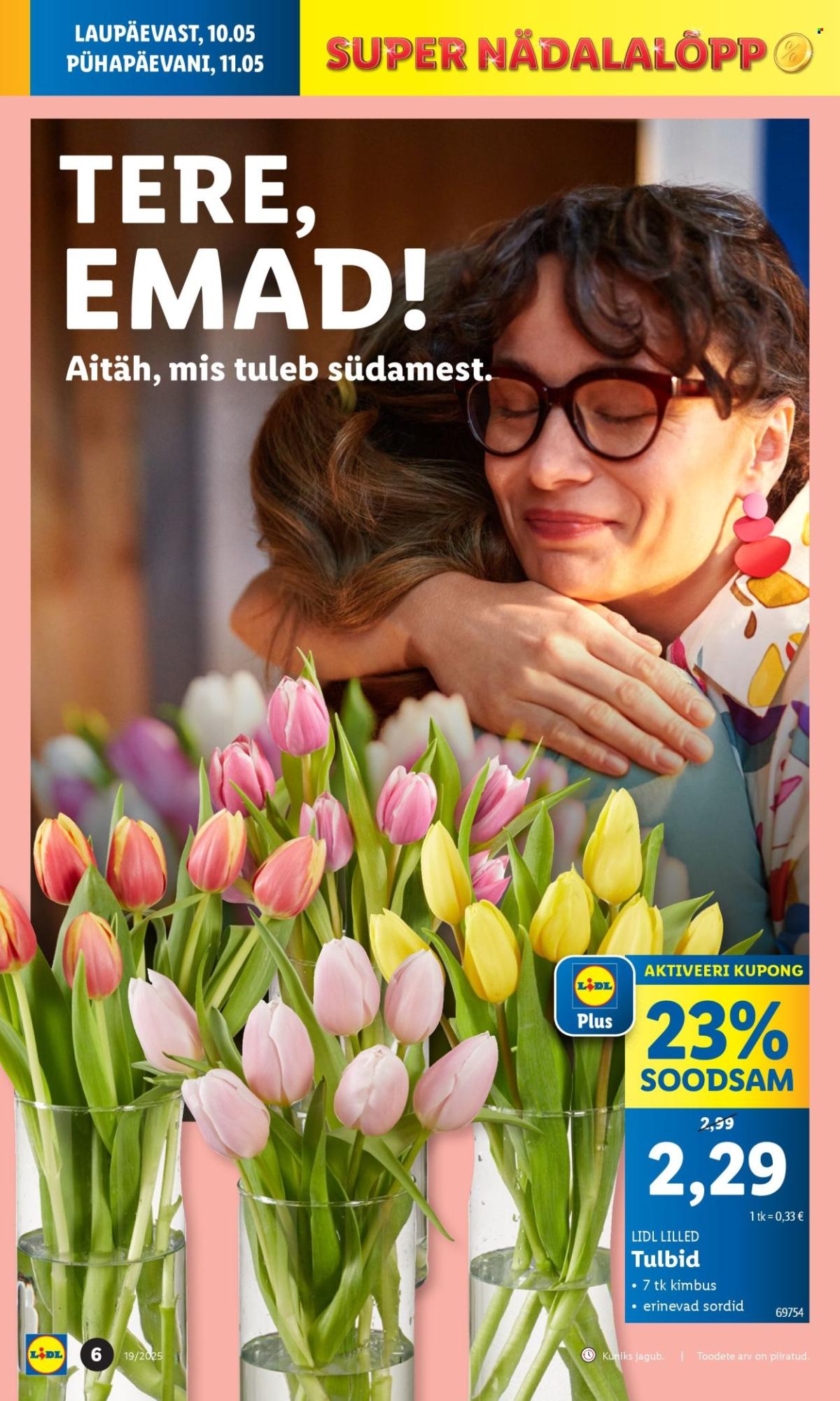 undefined 6