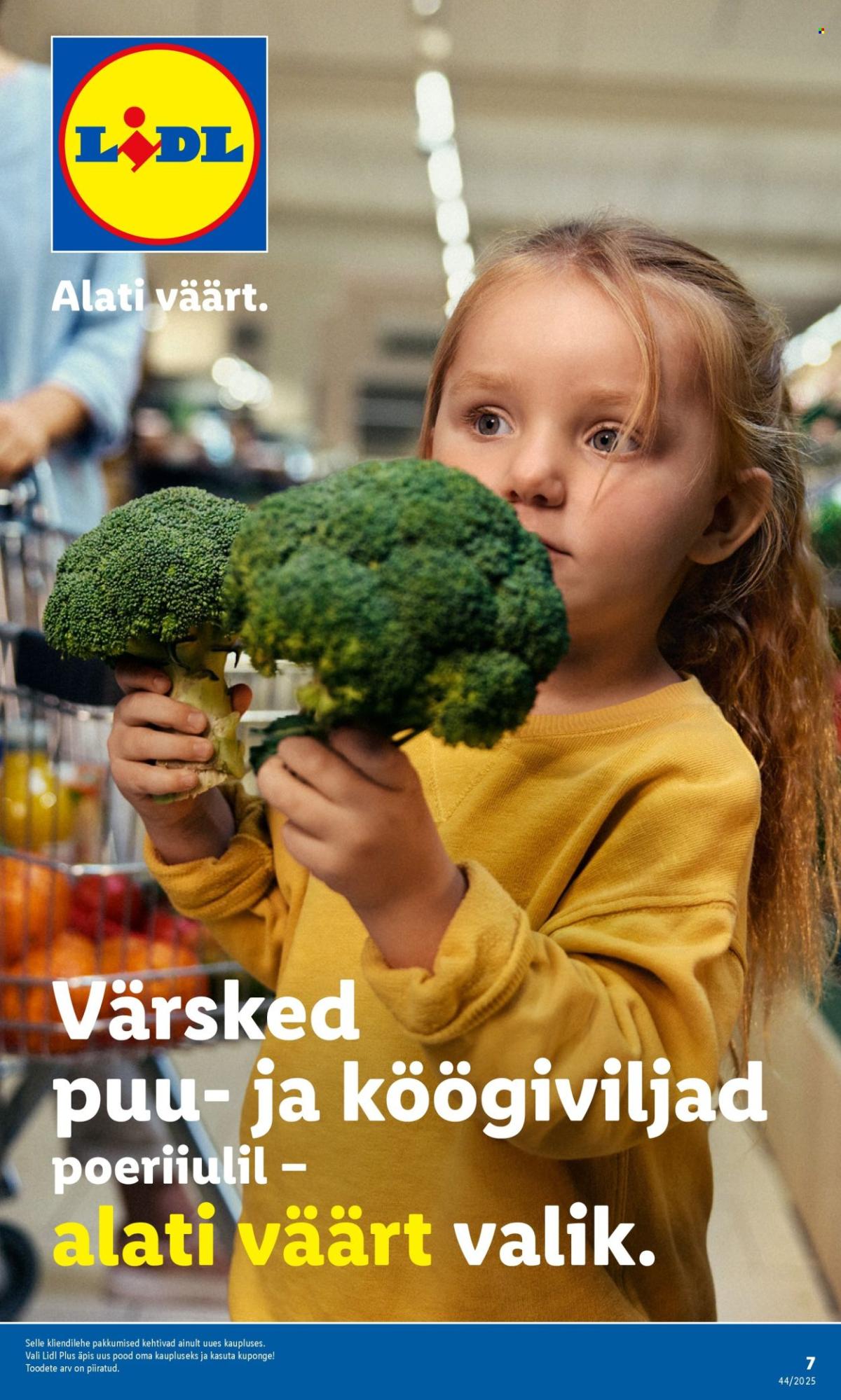 undefined 7