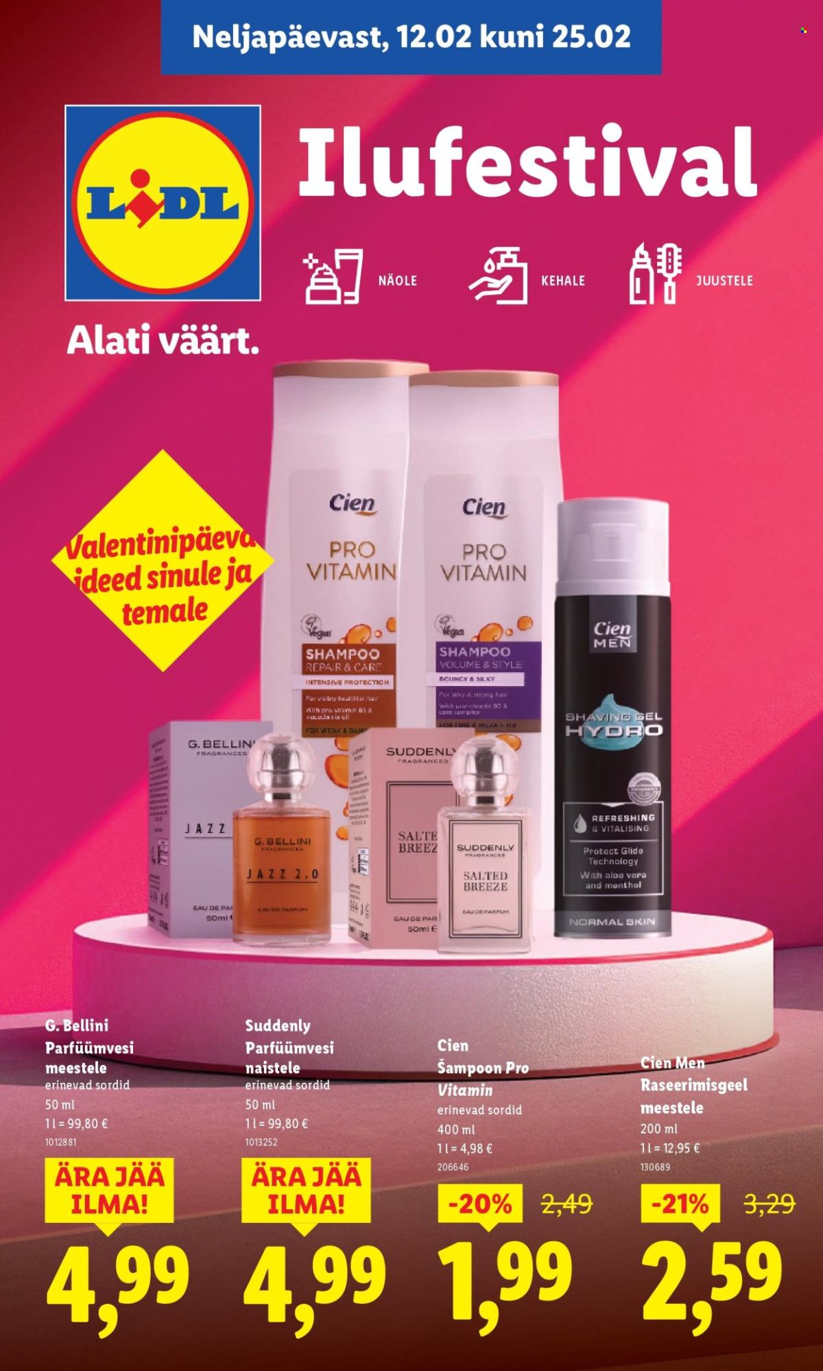 Lidl kliendileht - Ilufestival (12.02 - 25.02.2026)