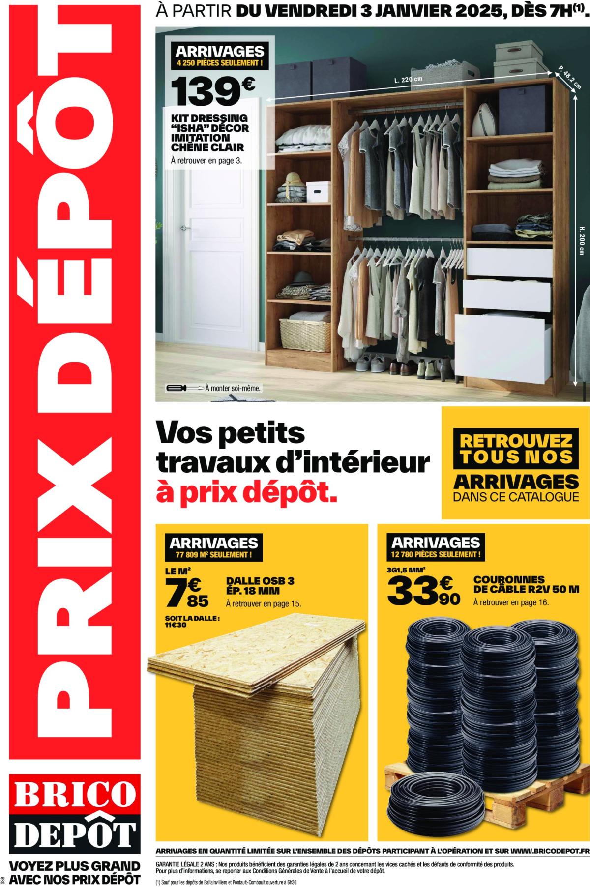 Catalogue Brico Depot valable dès 03/01 - 31/01