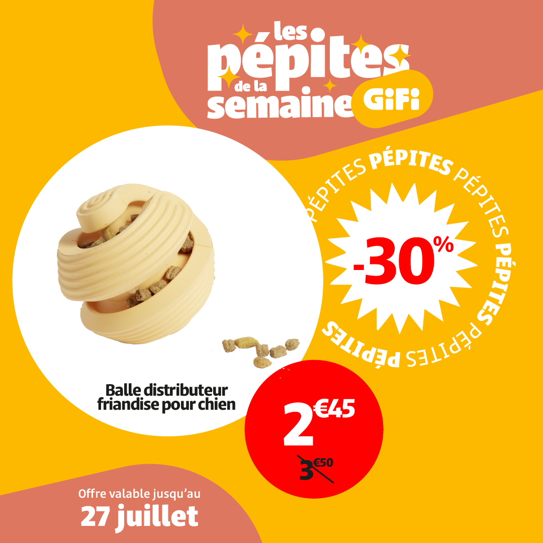 Catalogue Gifi - Les pépites de la semaine valable du 22/07 au 27/07