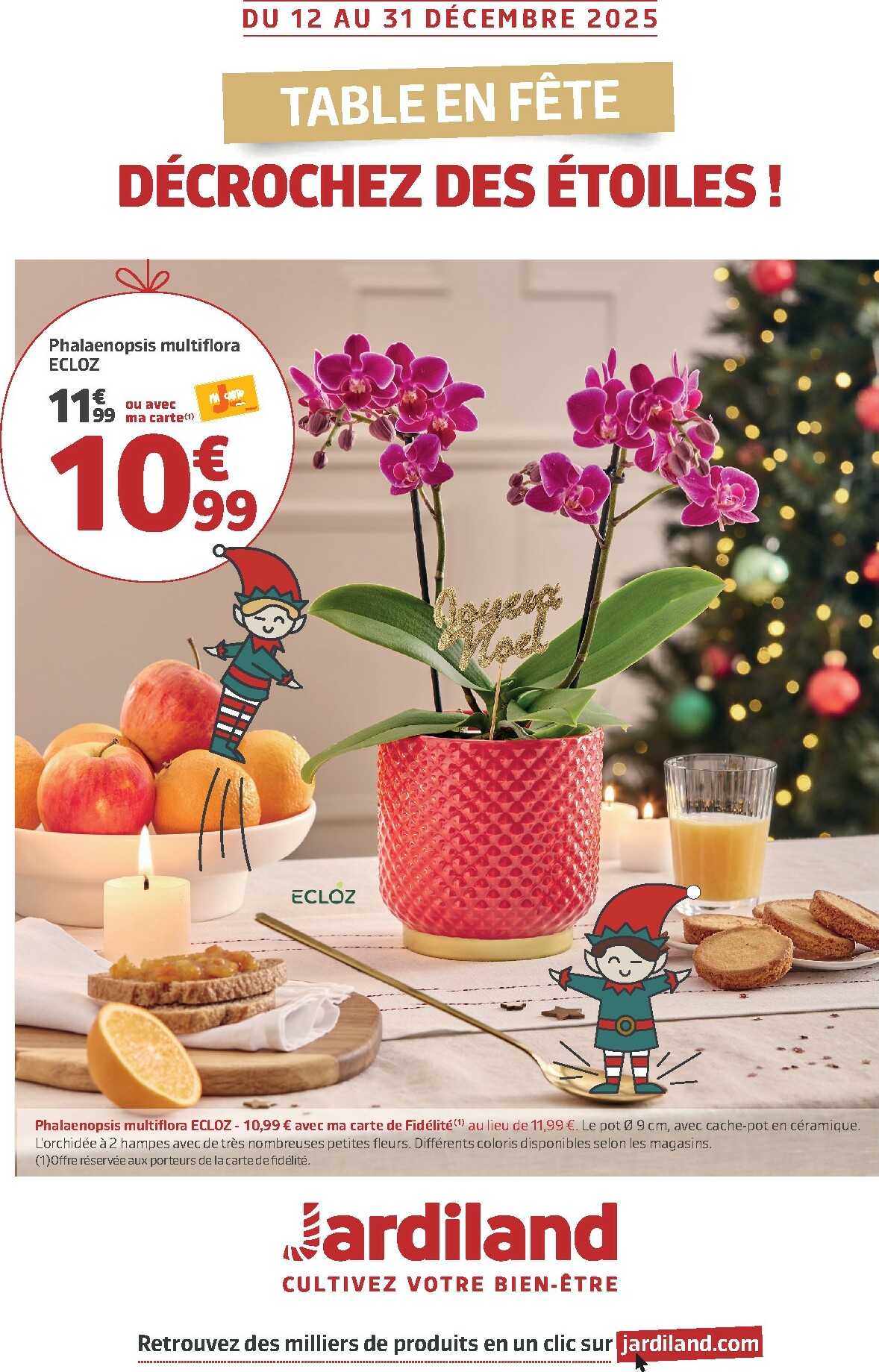 Catalogue Jardiland valable du 12/12 au 31/12