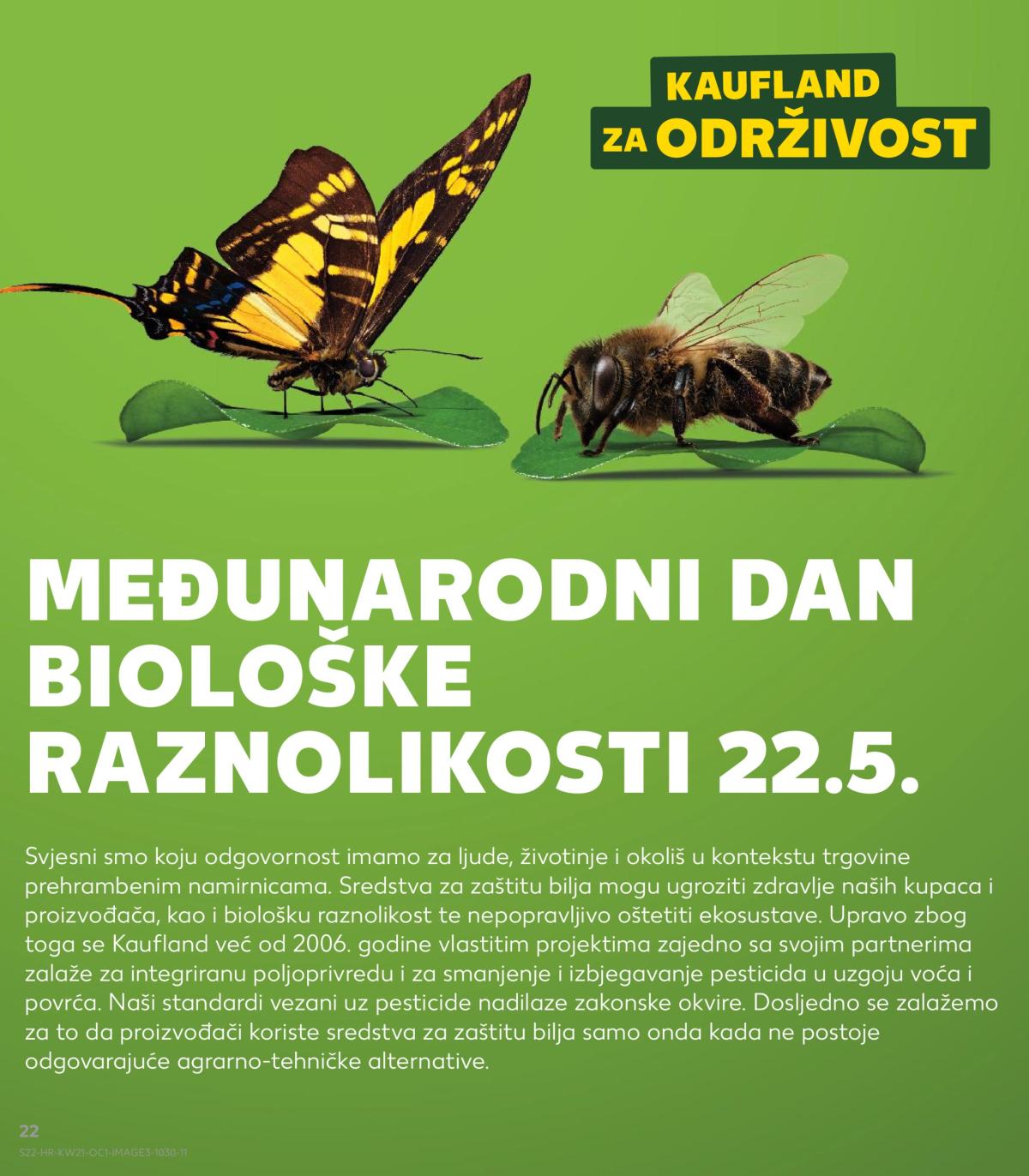 undefined 22