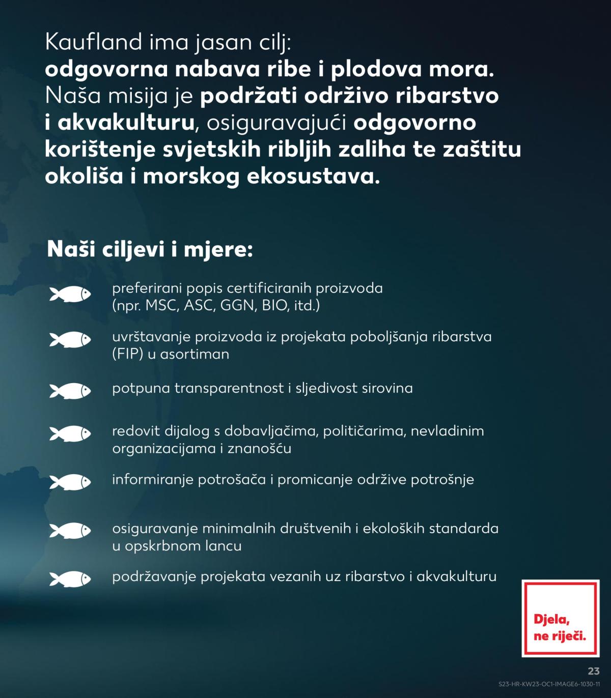 undefined 23