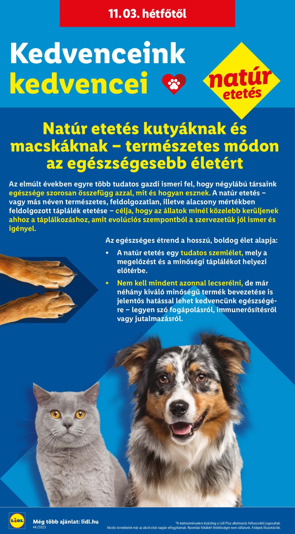 undefined 42