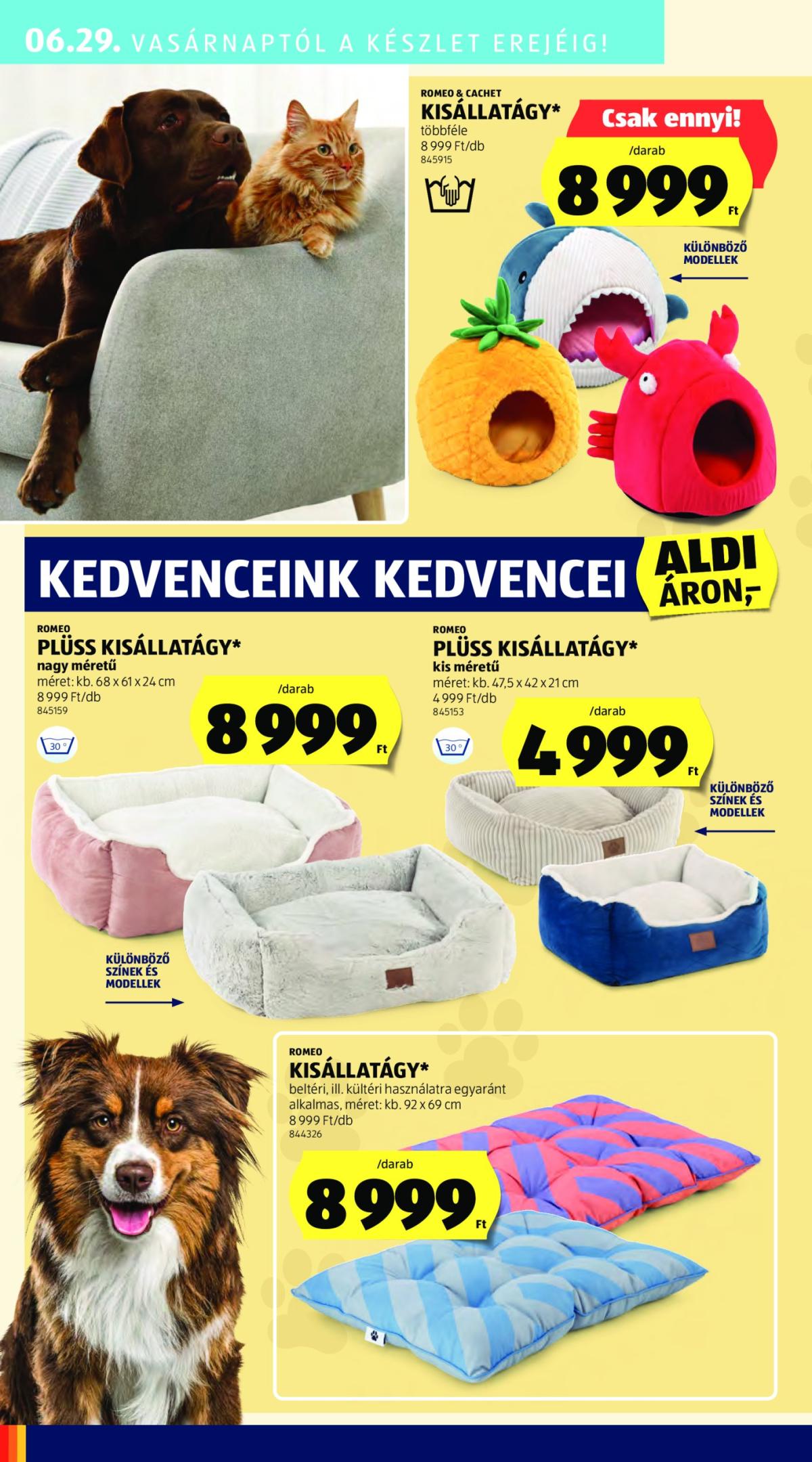 undefined 40