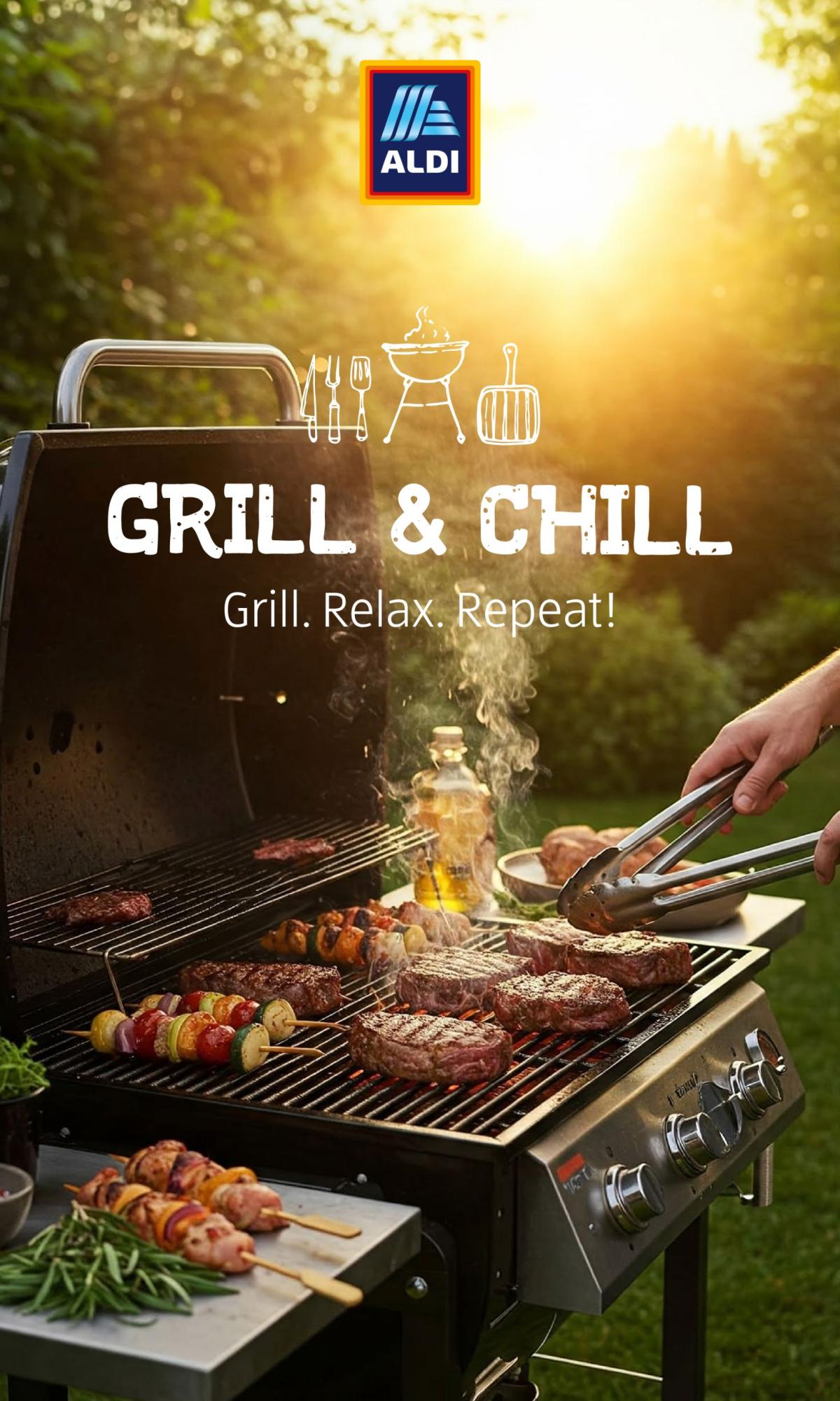 Volantino ALDI - Grill and Chill valido dal 28/05 al 30/06