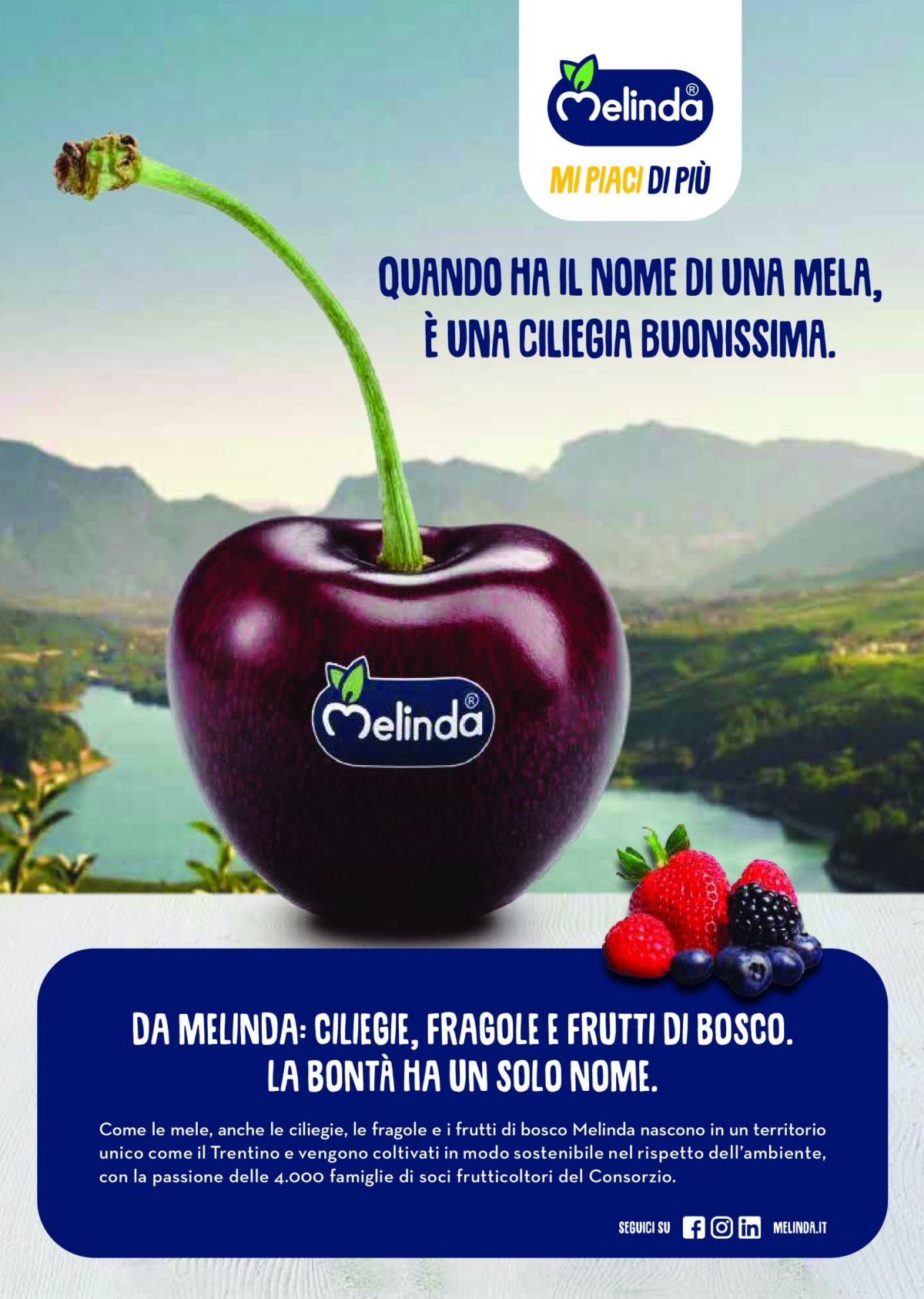 undefined 18