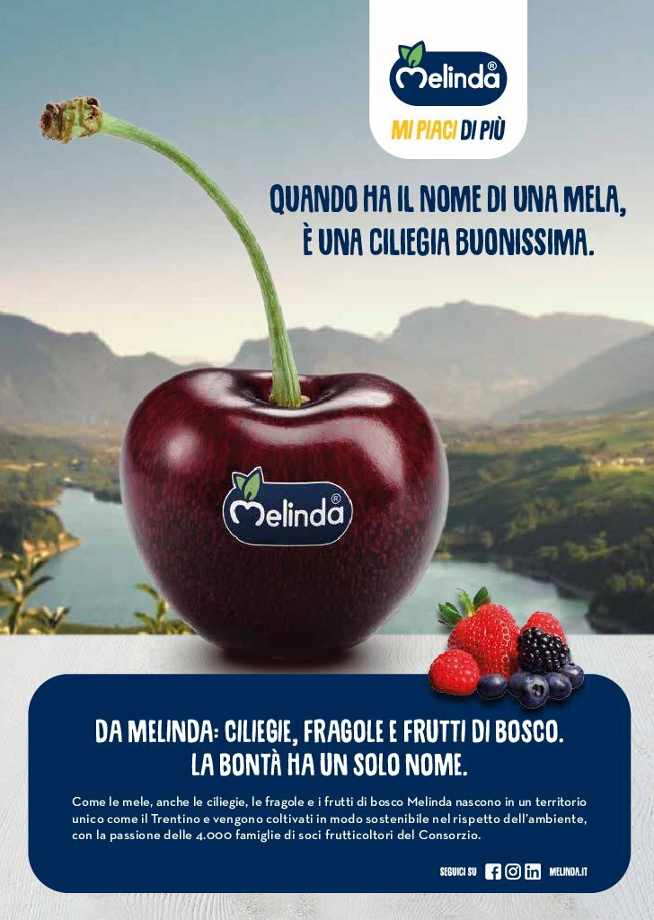 undefined 34