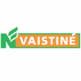 Nvaistine