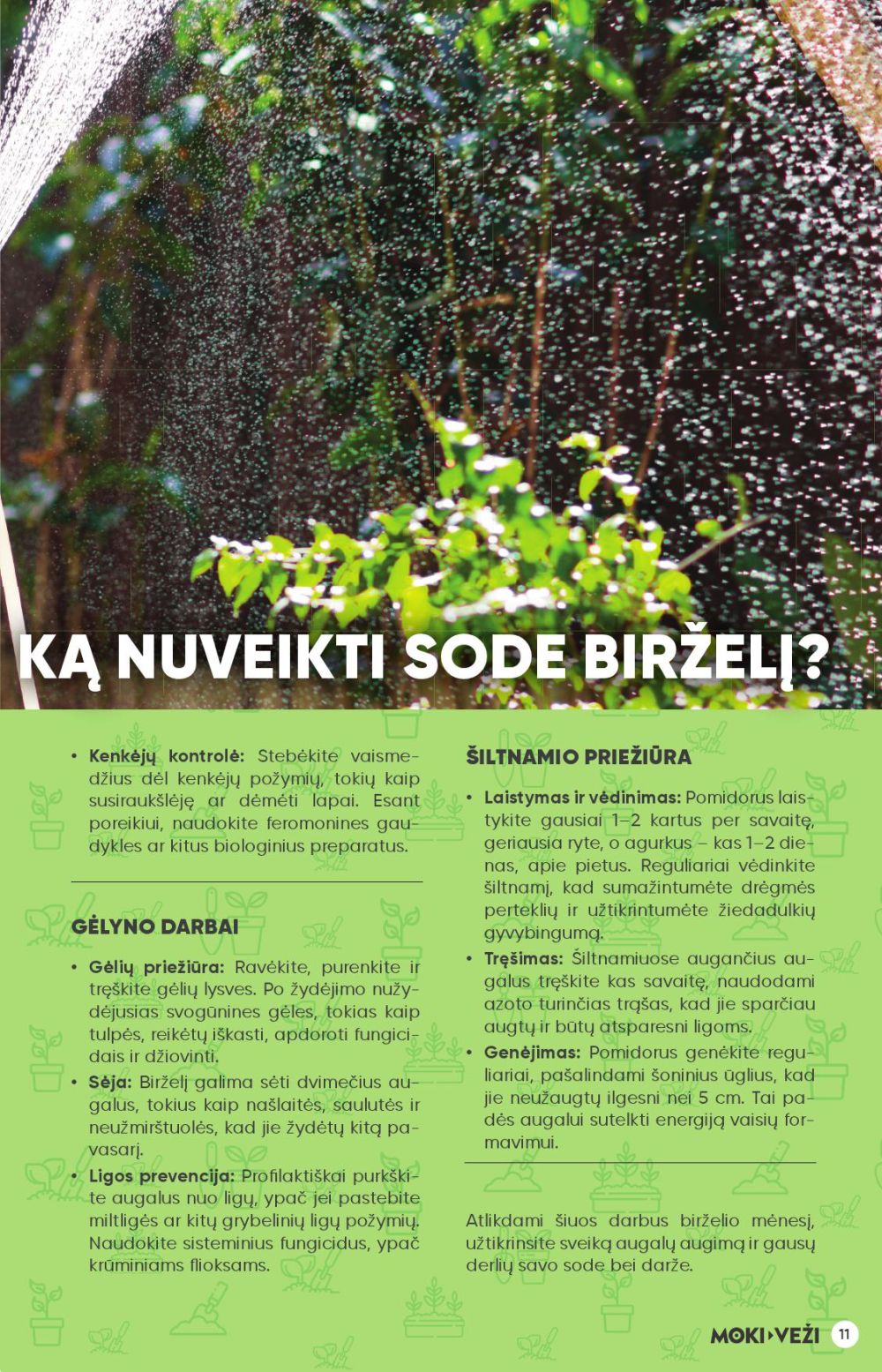 undefined 11