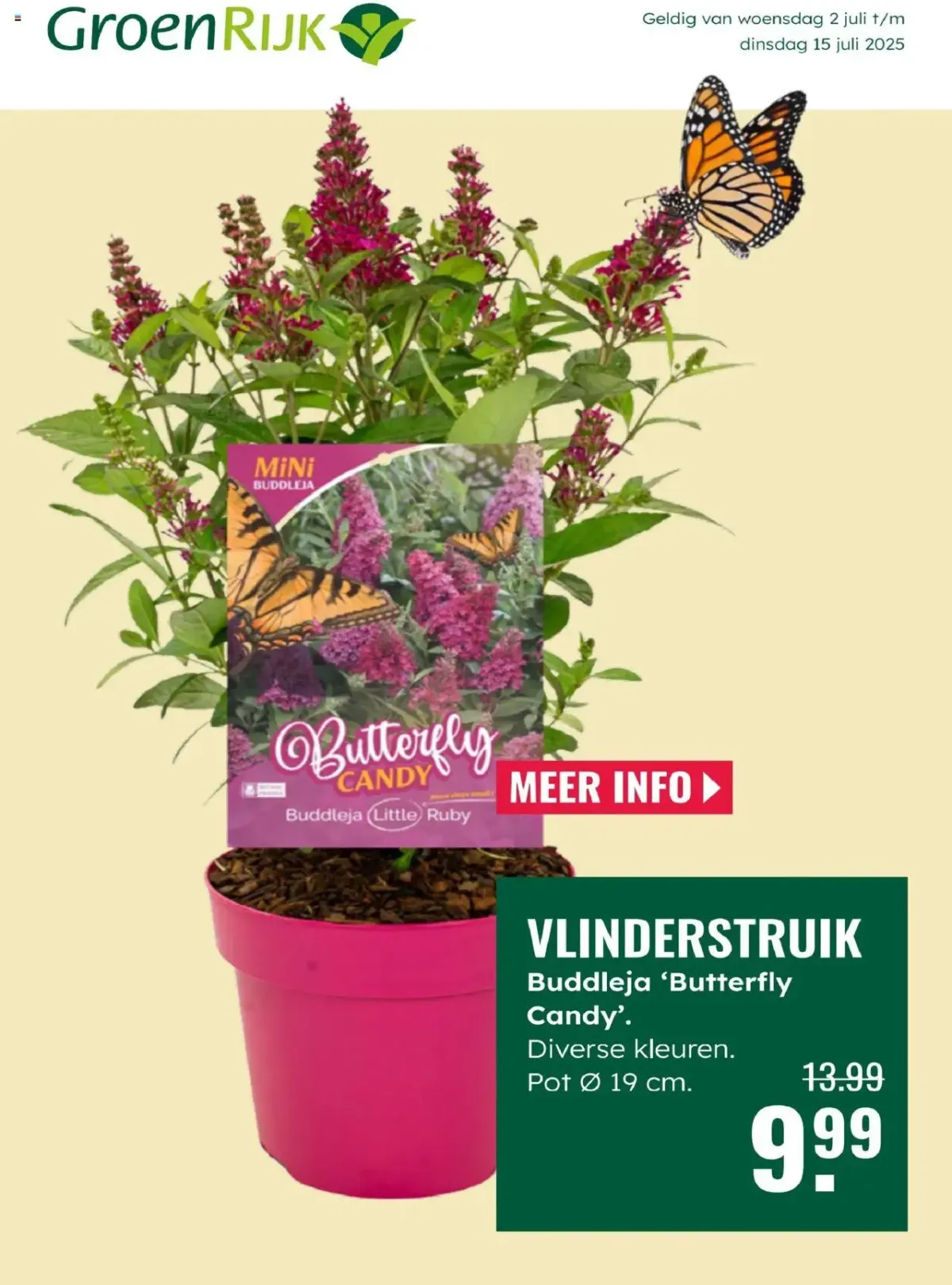 GroenRijk folder vanaf 02-07-2025 - 15-07-2025