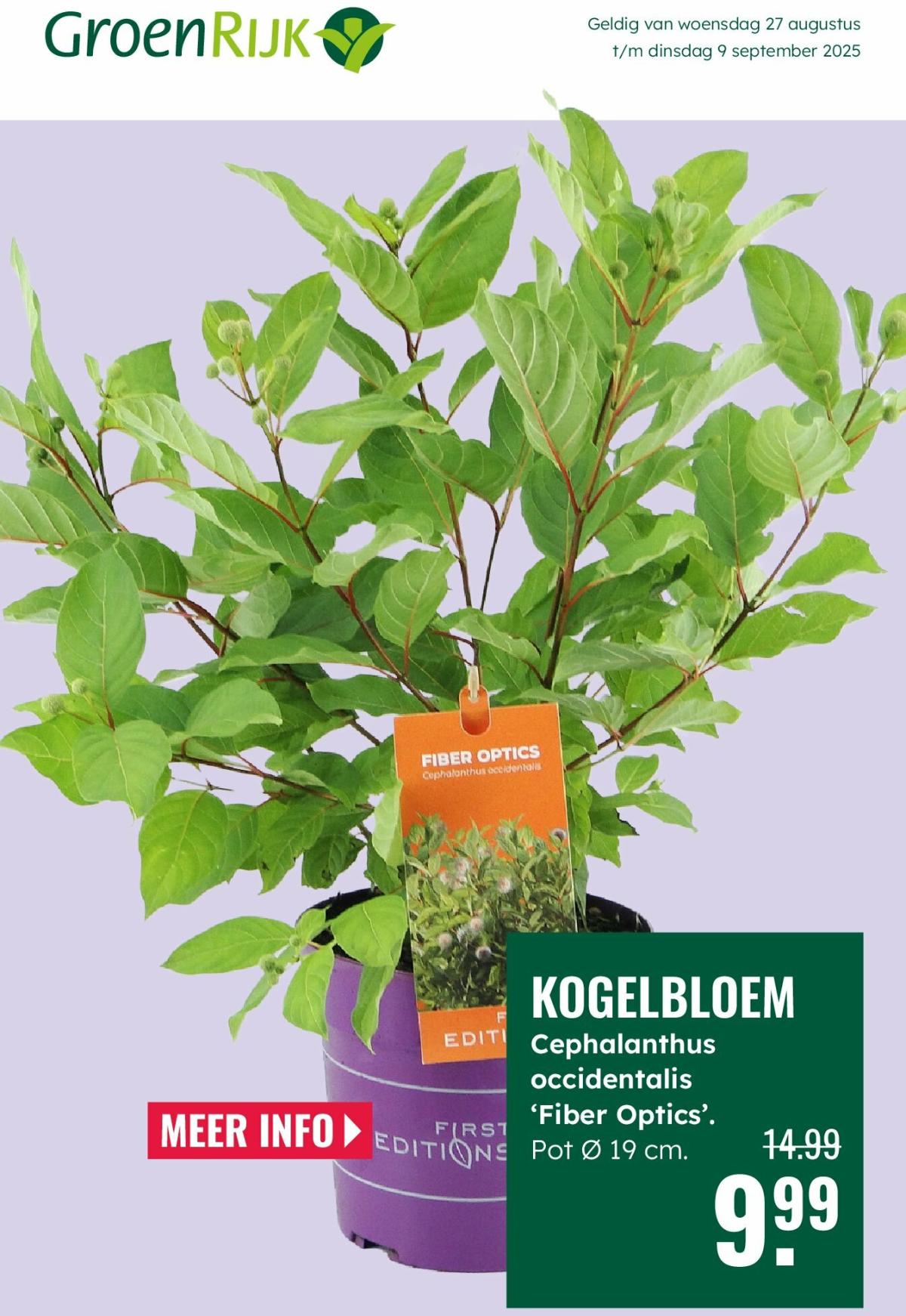 GroenRijk folder geldig vanaf 27-08 t/m 09-09