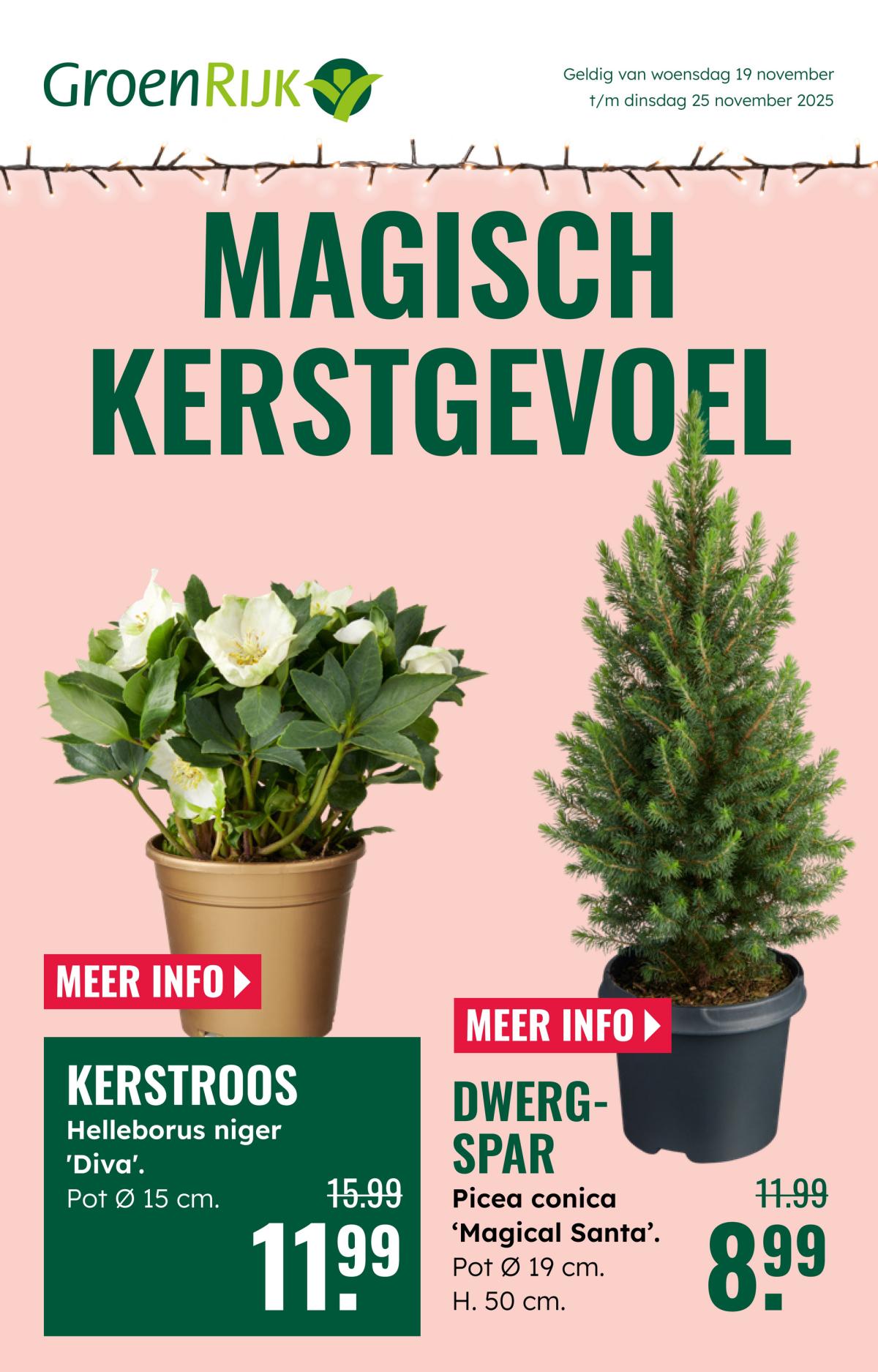 De GroenRijk folder geldig vanaf 19-11 t/m 25-11