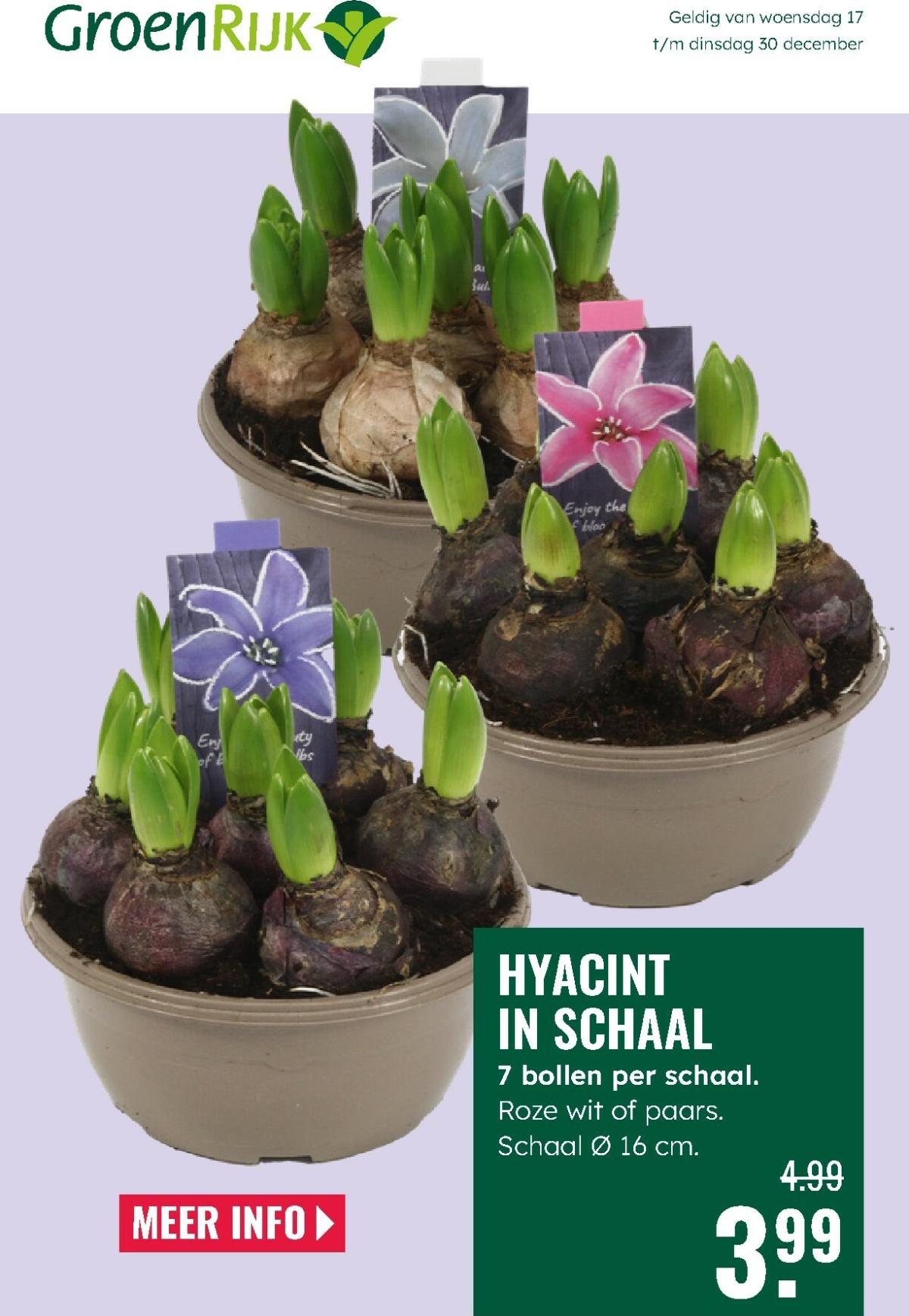 De GroenRijk folder geldig vanaf 17-12 t/m 30-12