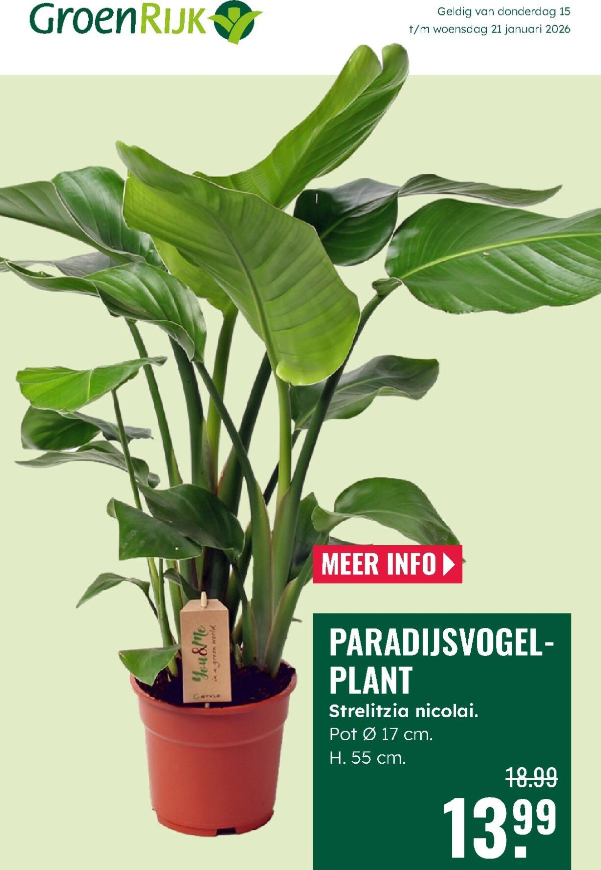 De GroenRijk folder geldig vanaf 15-01 t/m 21-01