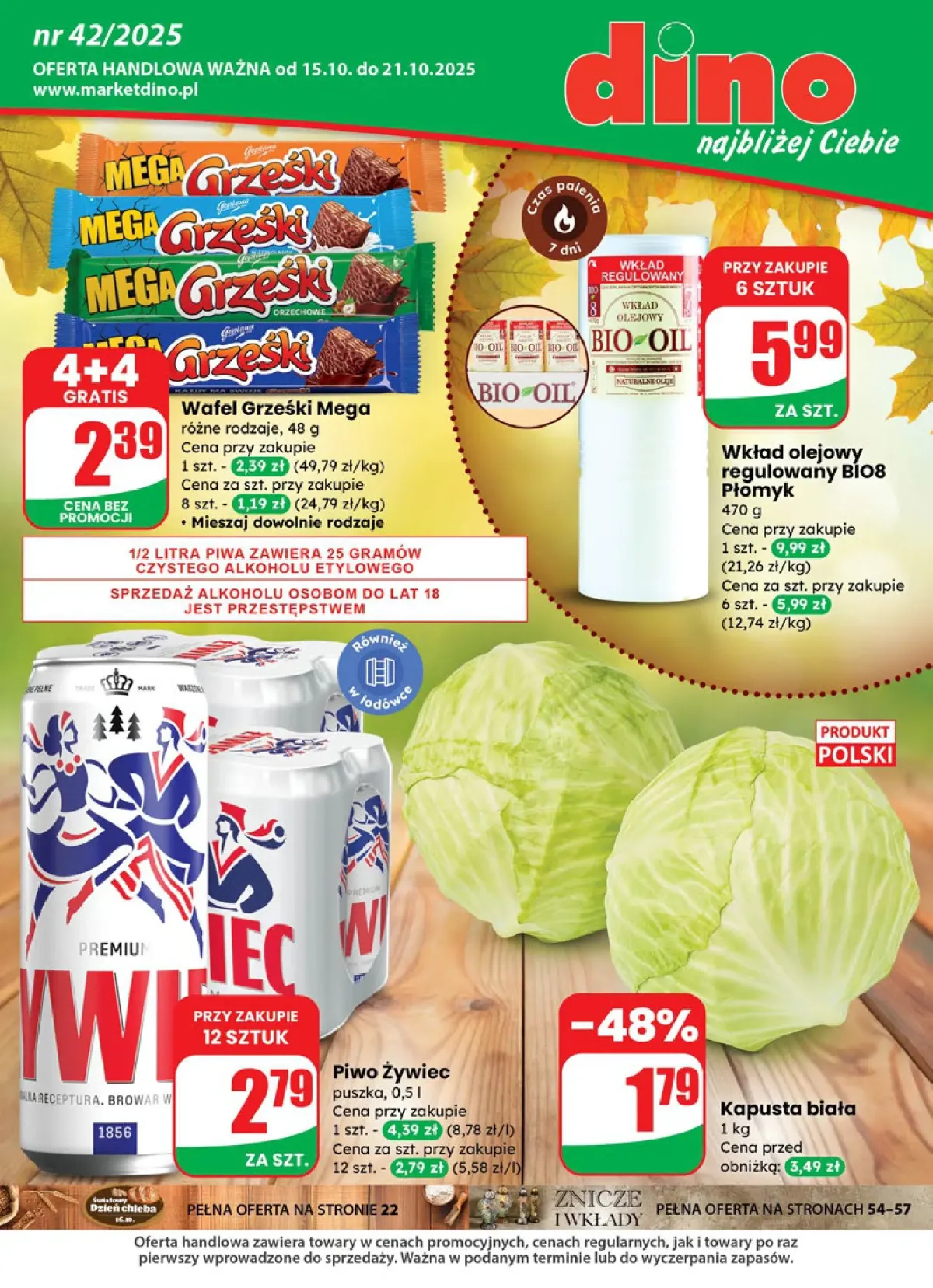 Gazetka Dino - ważna od 15.10. do 21.10.