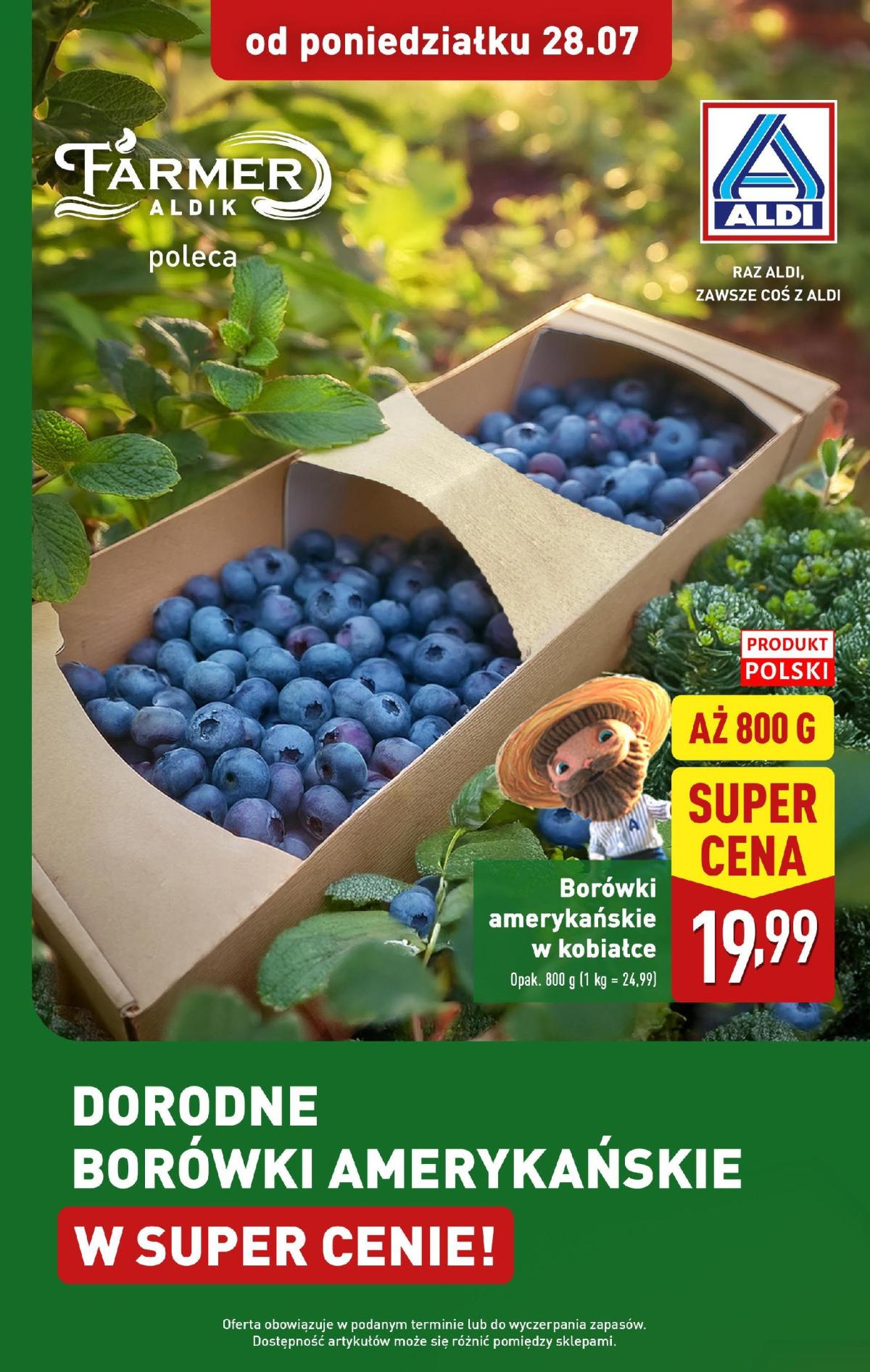 Gazetka ALDI - Borówki ważna od 28.07. - 02.08.