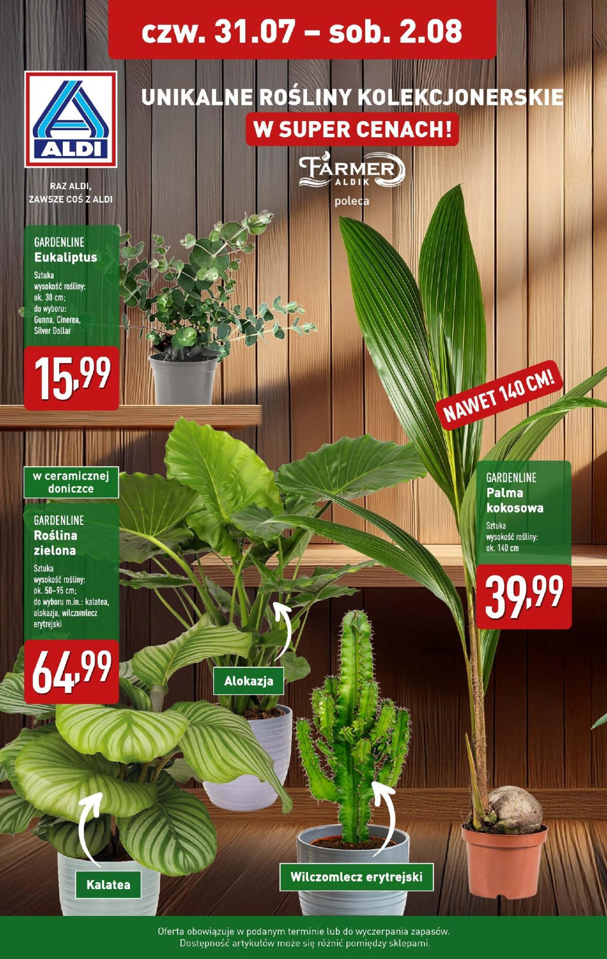 Gazetka ALDI - Kwiaty - ważna od 31.07. do 02.08.