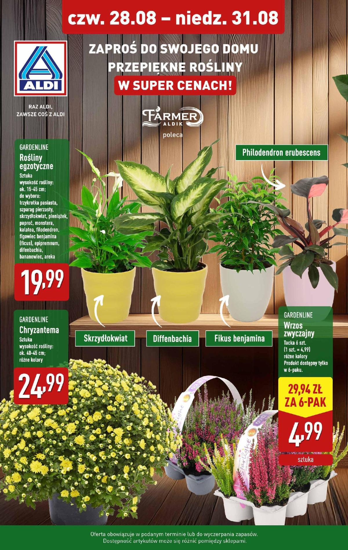 Gazetka ALDI - Kwiaty - ważna od 28.08. do 31.08.