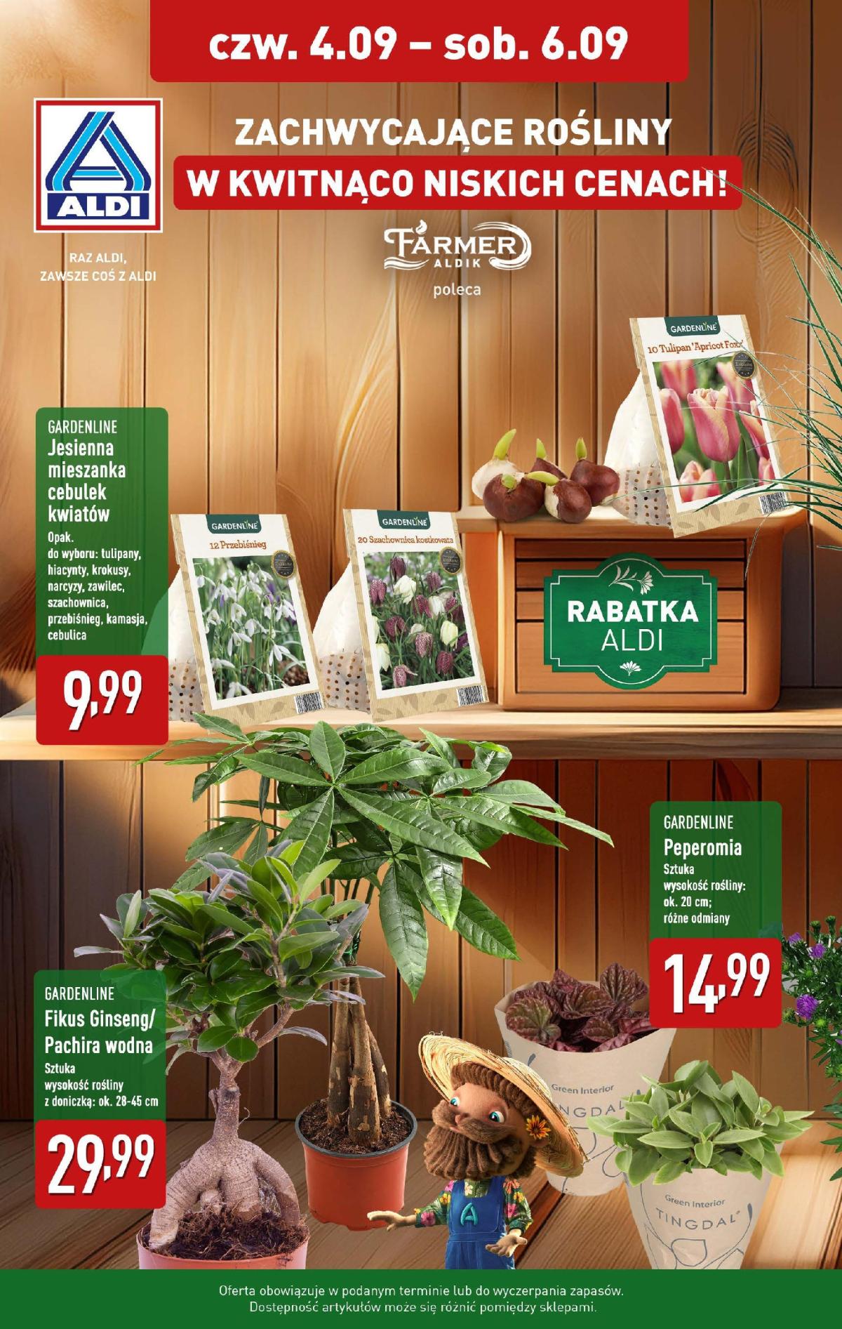 Gazetka ALDI - Zachwycające kwiaty - ważna od 04.09. do 06.09.
