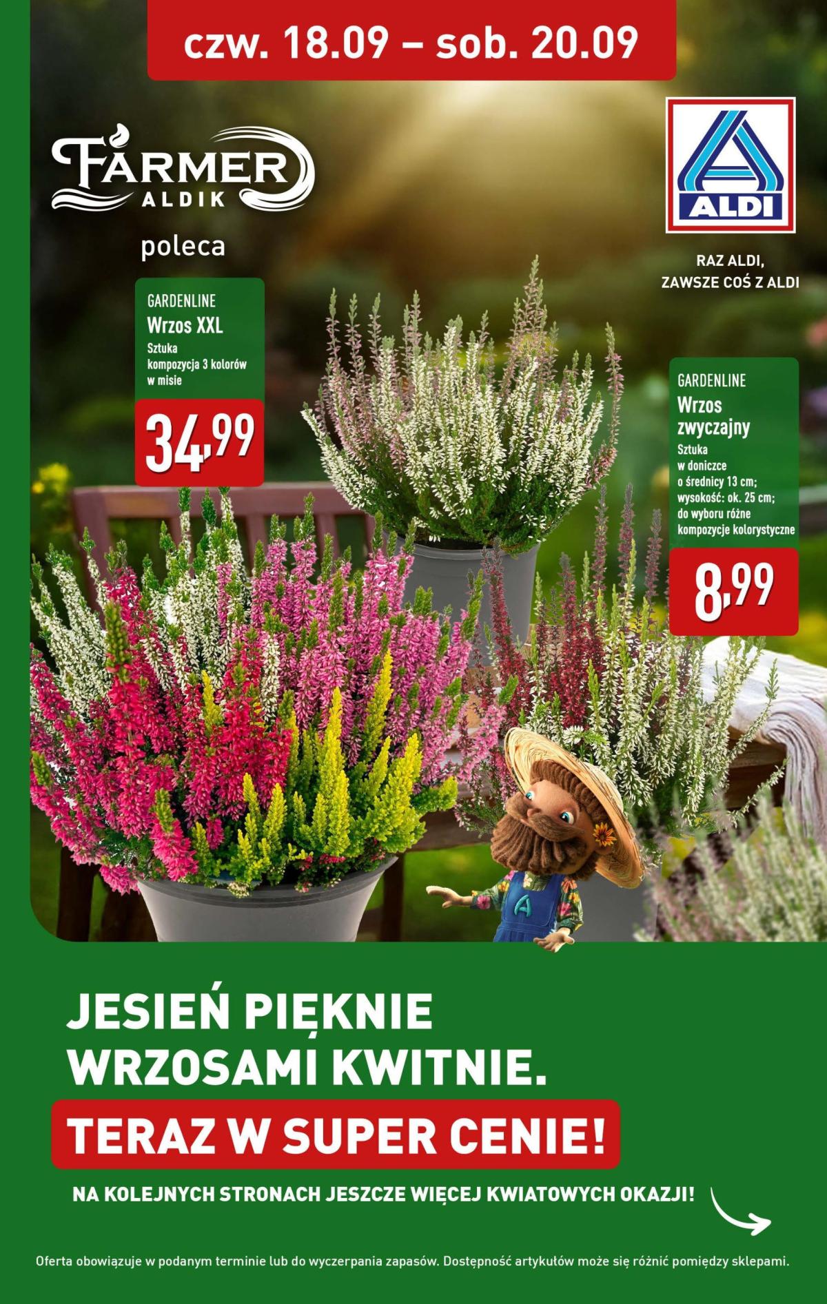 Gazetka ALDI - Wrzosy - ważna od 18.09. do 20.09.