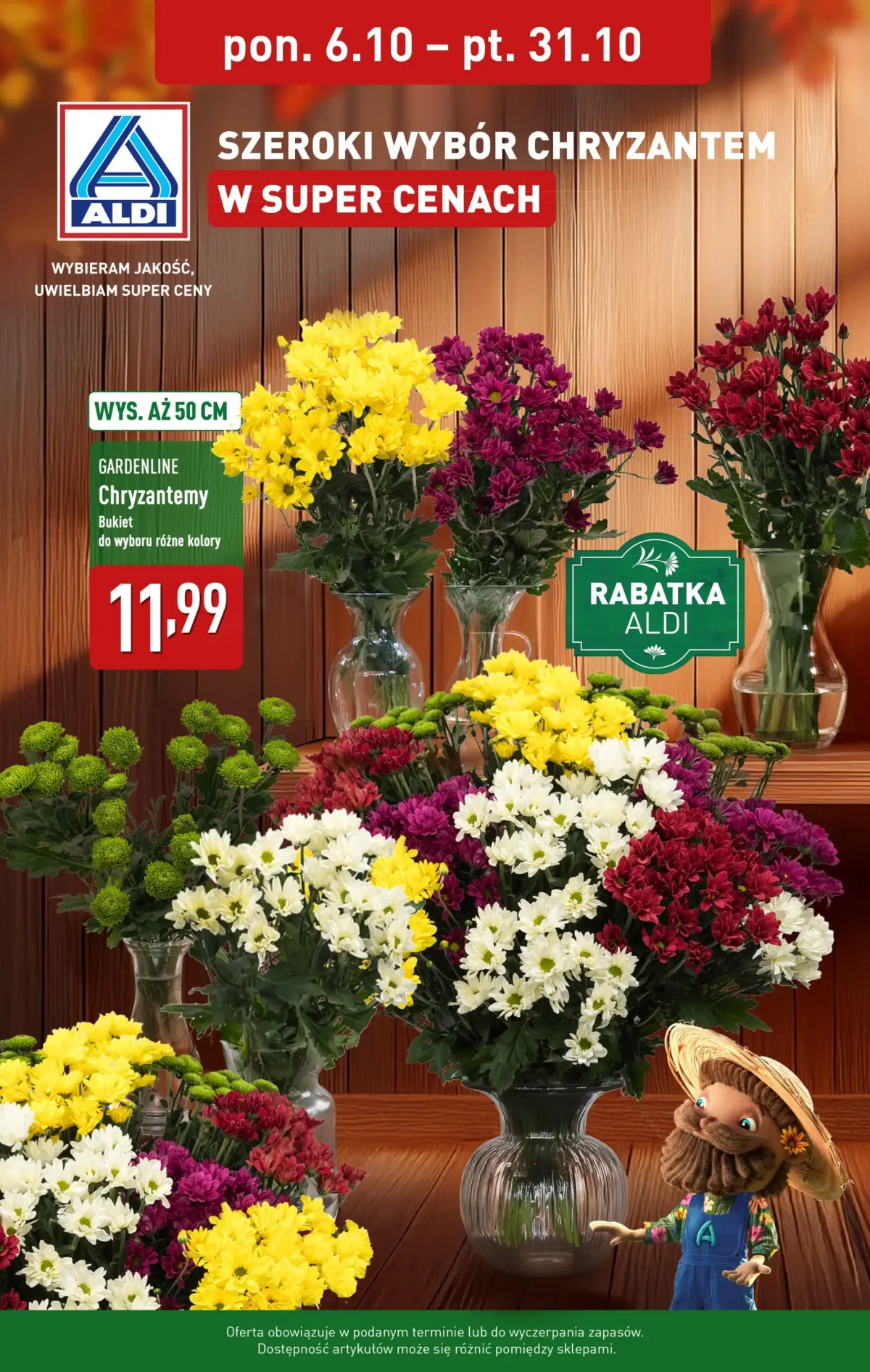 Gazetka ALDI - Chryzantemy - ważna od 06.10. do 31.10.
