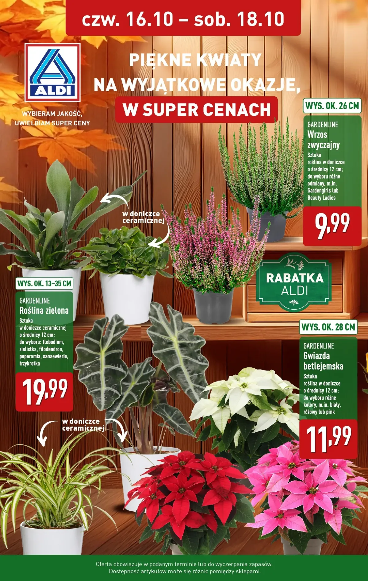 Gazetka ALDI - Piękne kwiaty - ważna od 16.10. do 18.10.