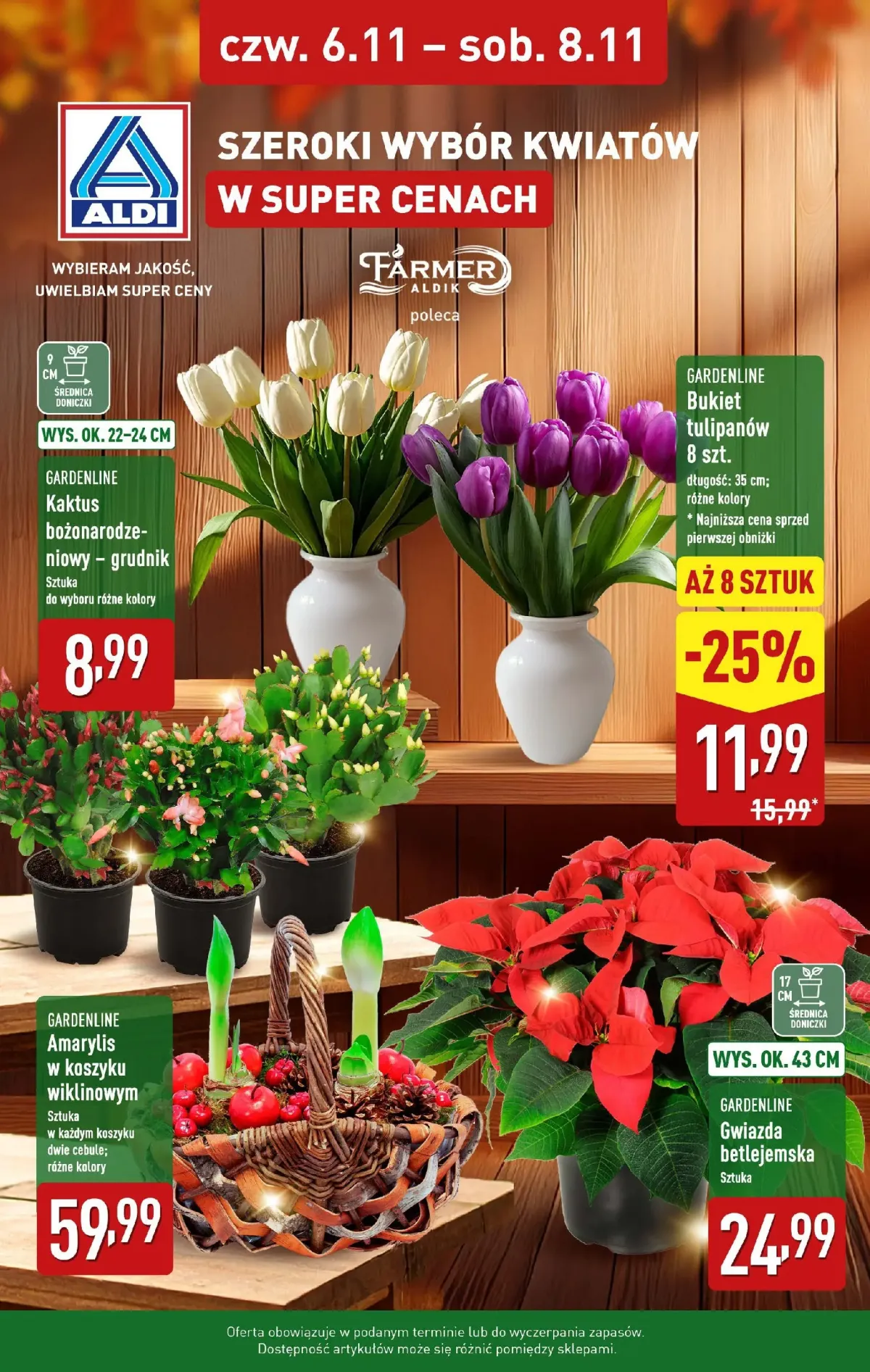 Gazetka ALDI - Kwiaty w super cenach - ważna od 06.11. do 08.11.