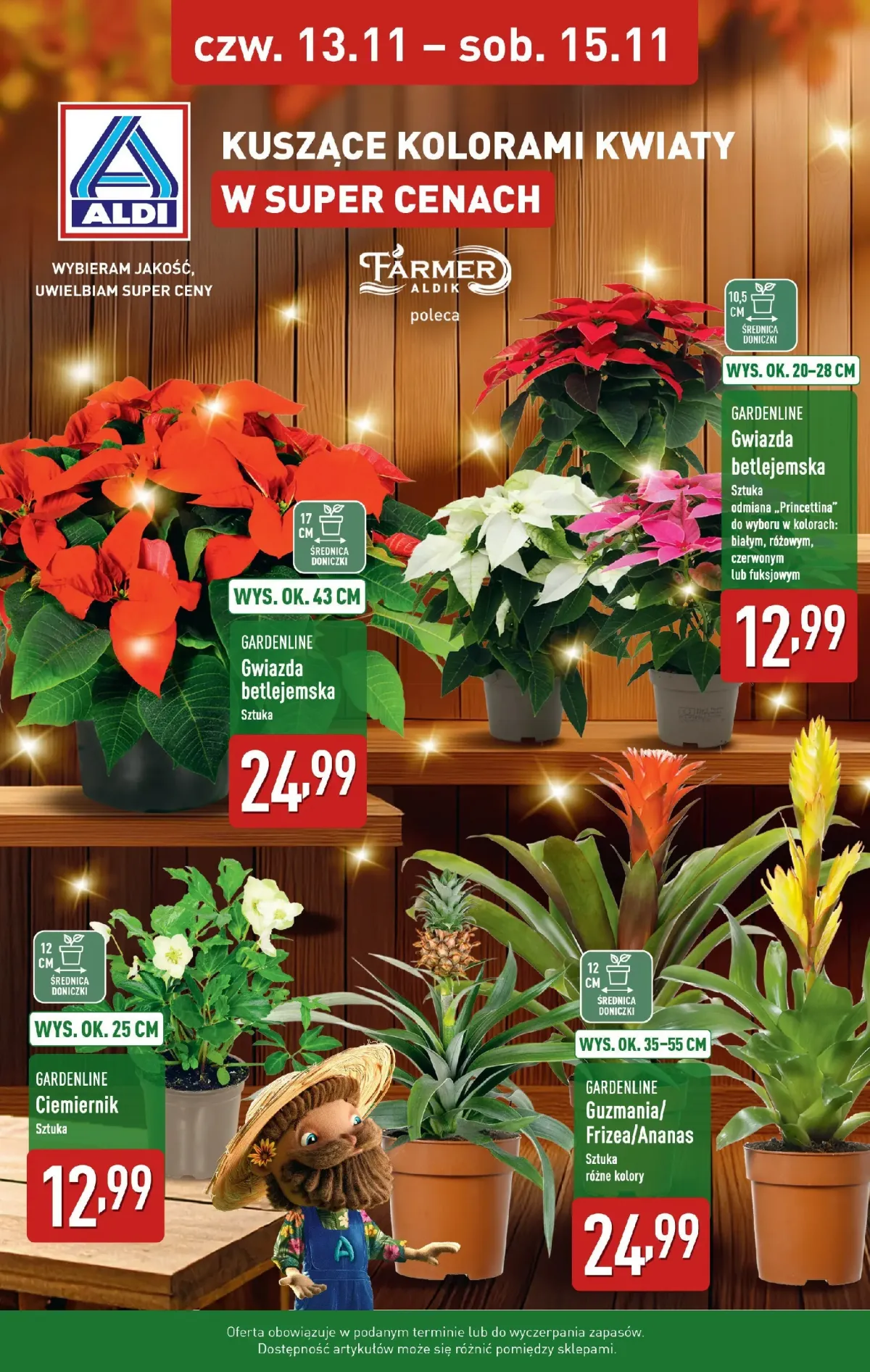 Gazetka ALDI - Kuszące kolorami kwiaty - ważna od 13.11. do 15.11.